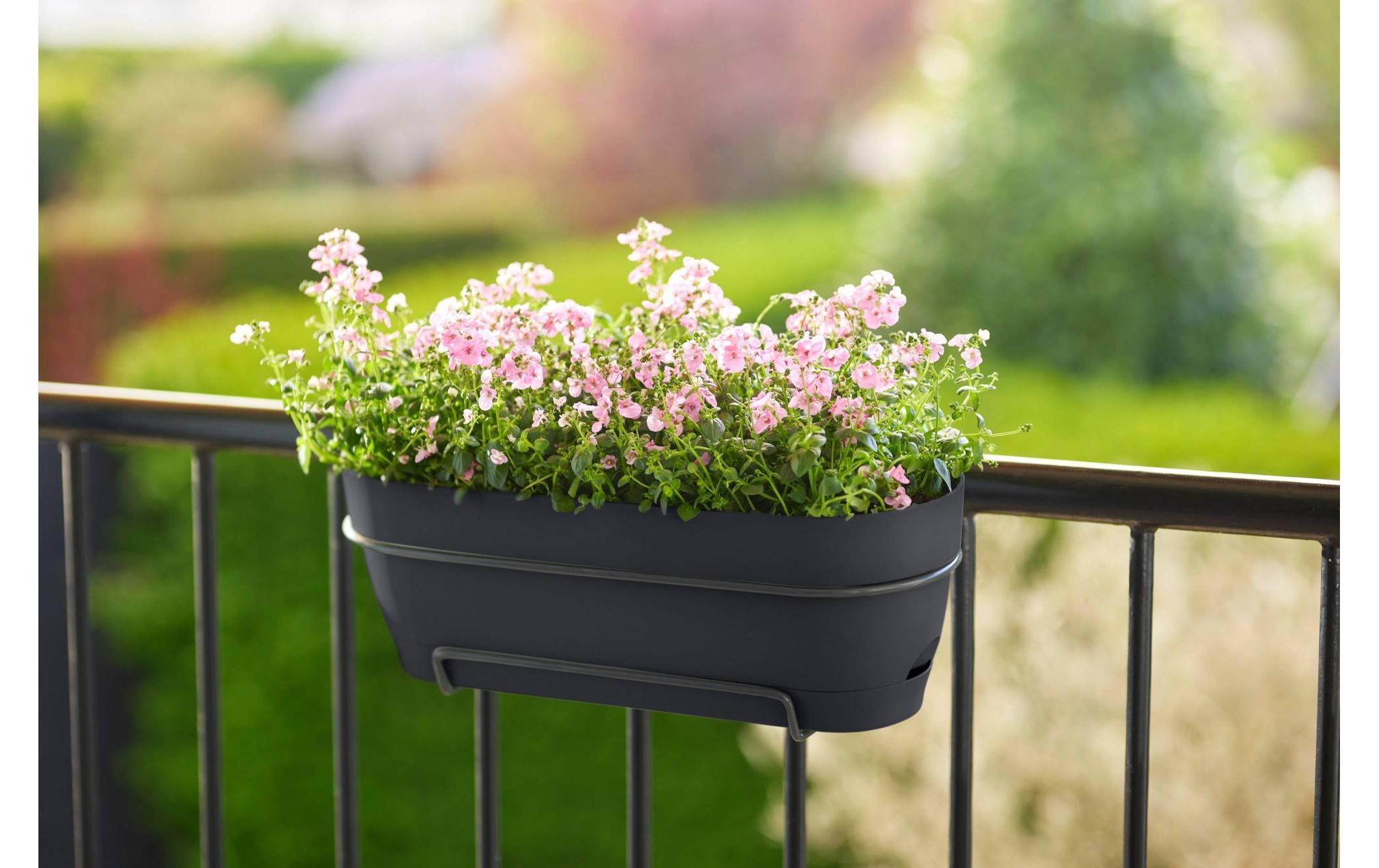 Elho Pot de fleurs »Vibia Campana Balkonkasten Allin1 70 cm«