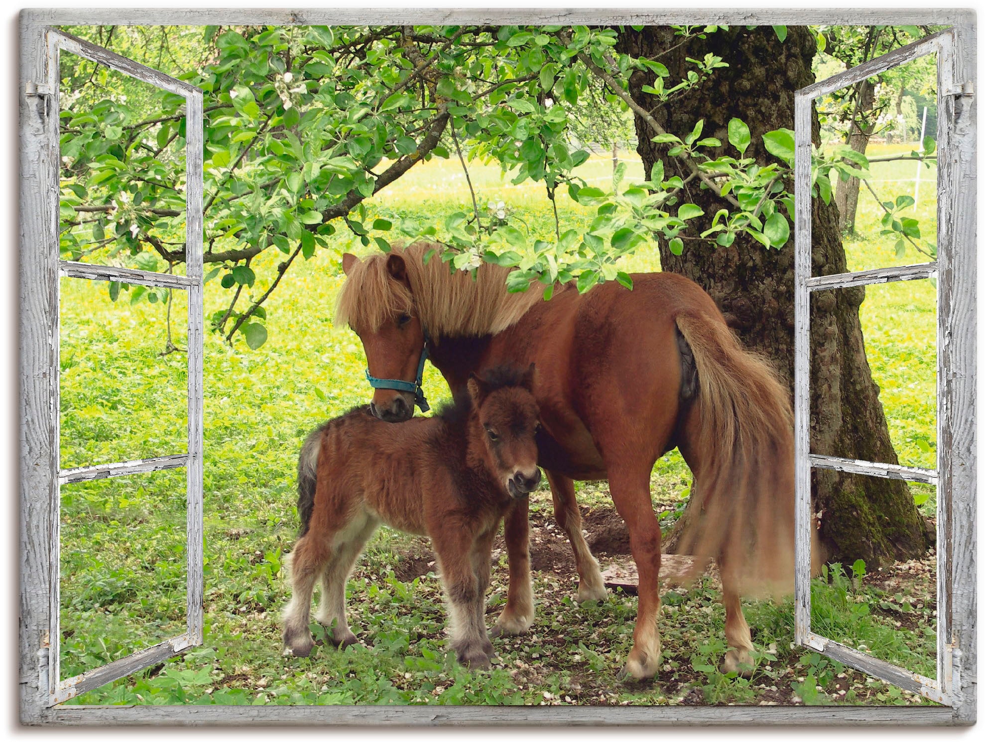 Image of Artland Leinwandbild "Fensterblick - Pony mit Kind" Haustiere 1 Stk. tlg. auf Holzrahmen gespannt
