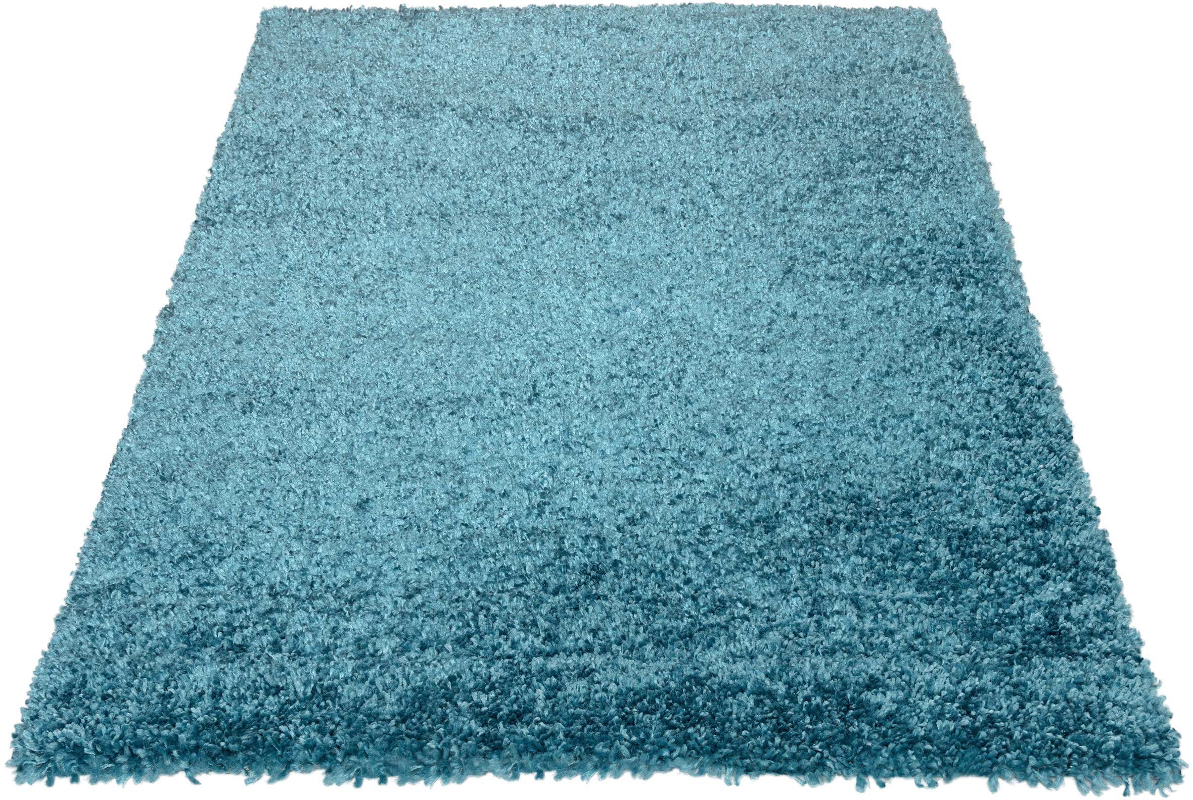 Image of Sehrazat Hochflor-Teppich »Ethno1800«, rechteckig, 30 mm Höhe, melierter Langflor, Wohnzimmer bei Ackermann Versand Schweiz