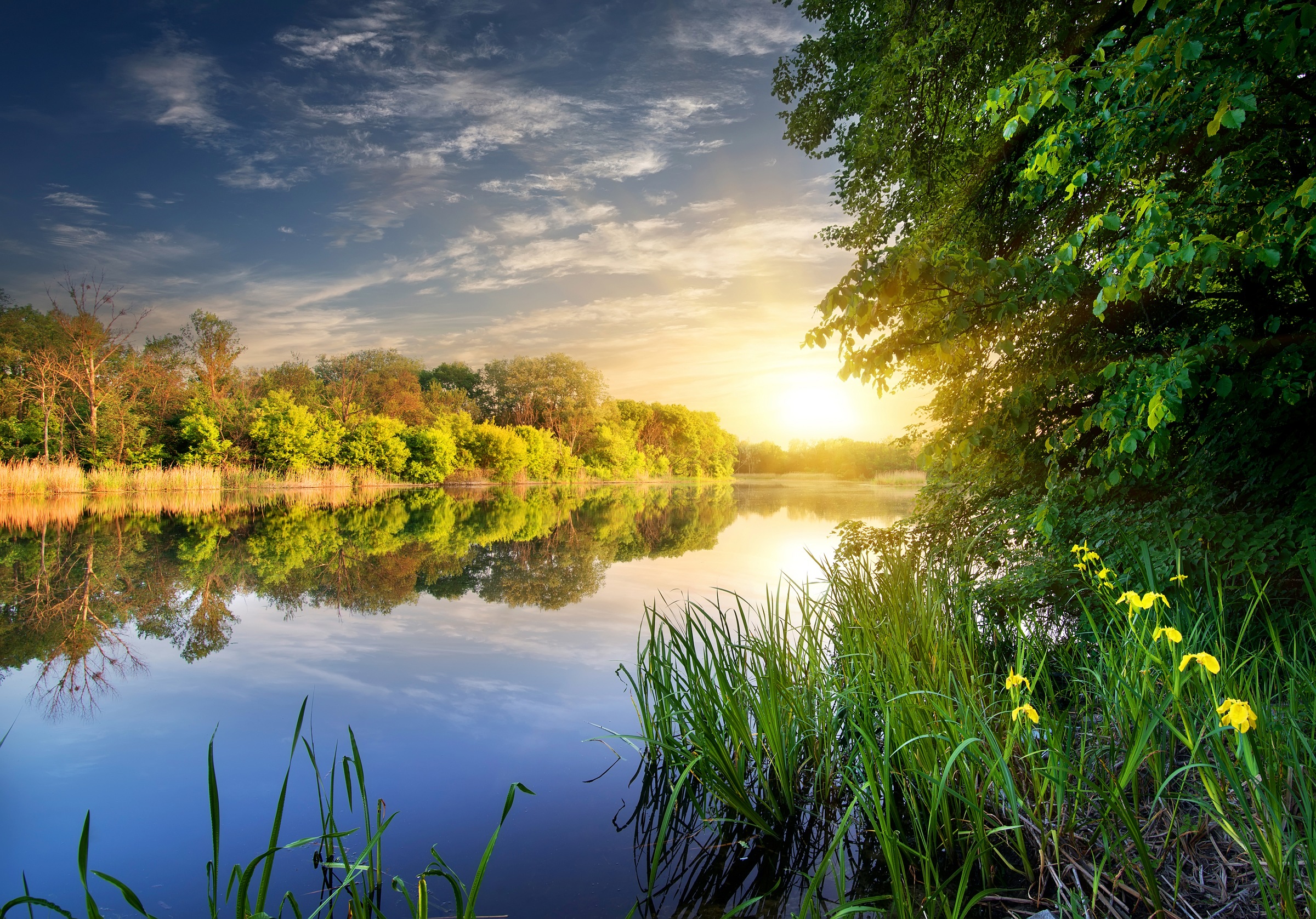 Image of Papermoon Fototapete »River at the Sunset« bei Ackermann Versand Schweiz