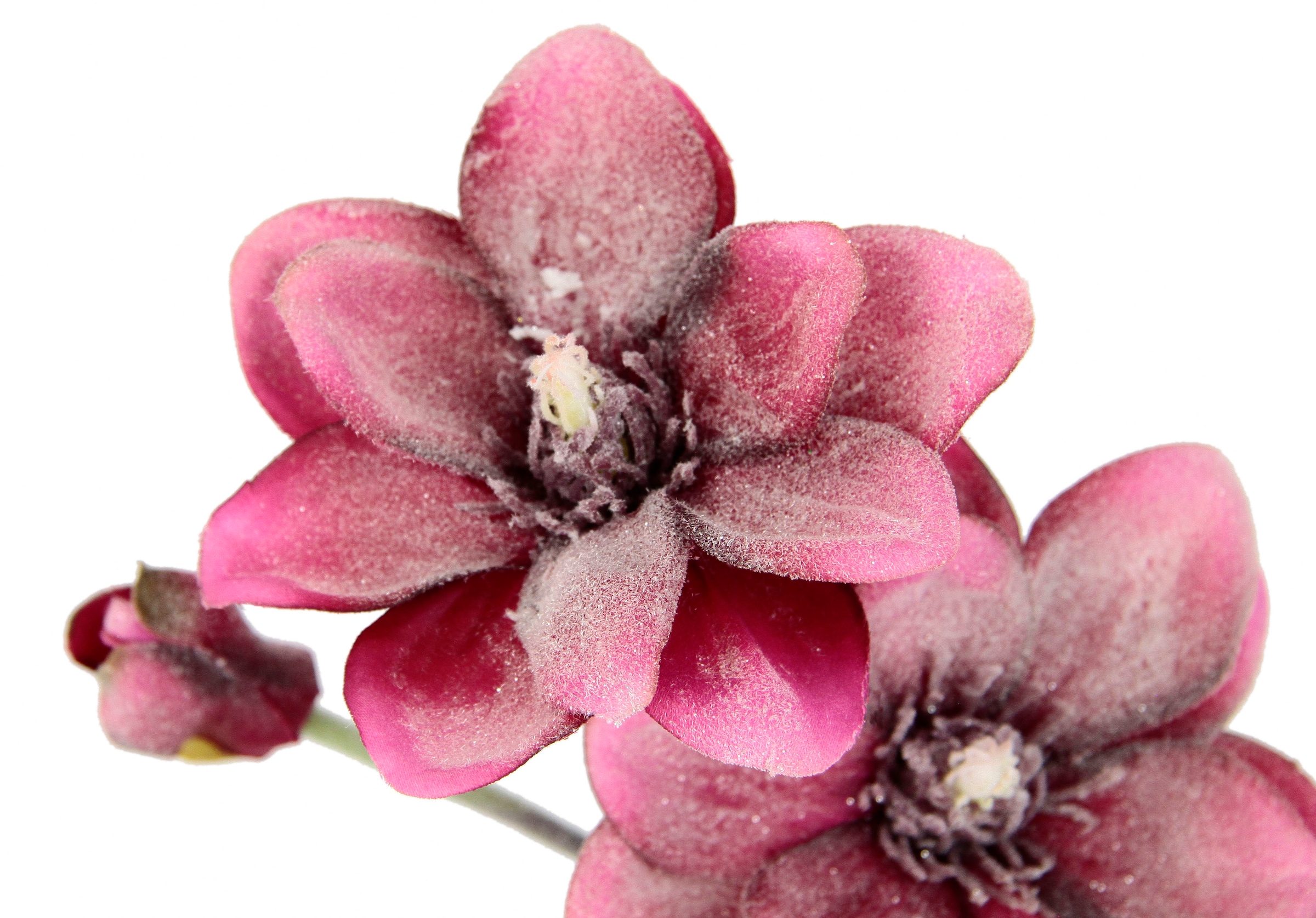I.GE.A. Kunstblume »Magnolie«, Künstlicher Magnolienzweig, 3er Set
