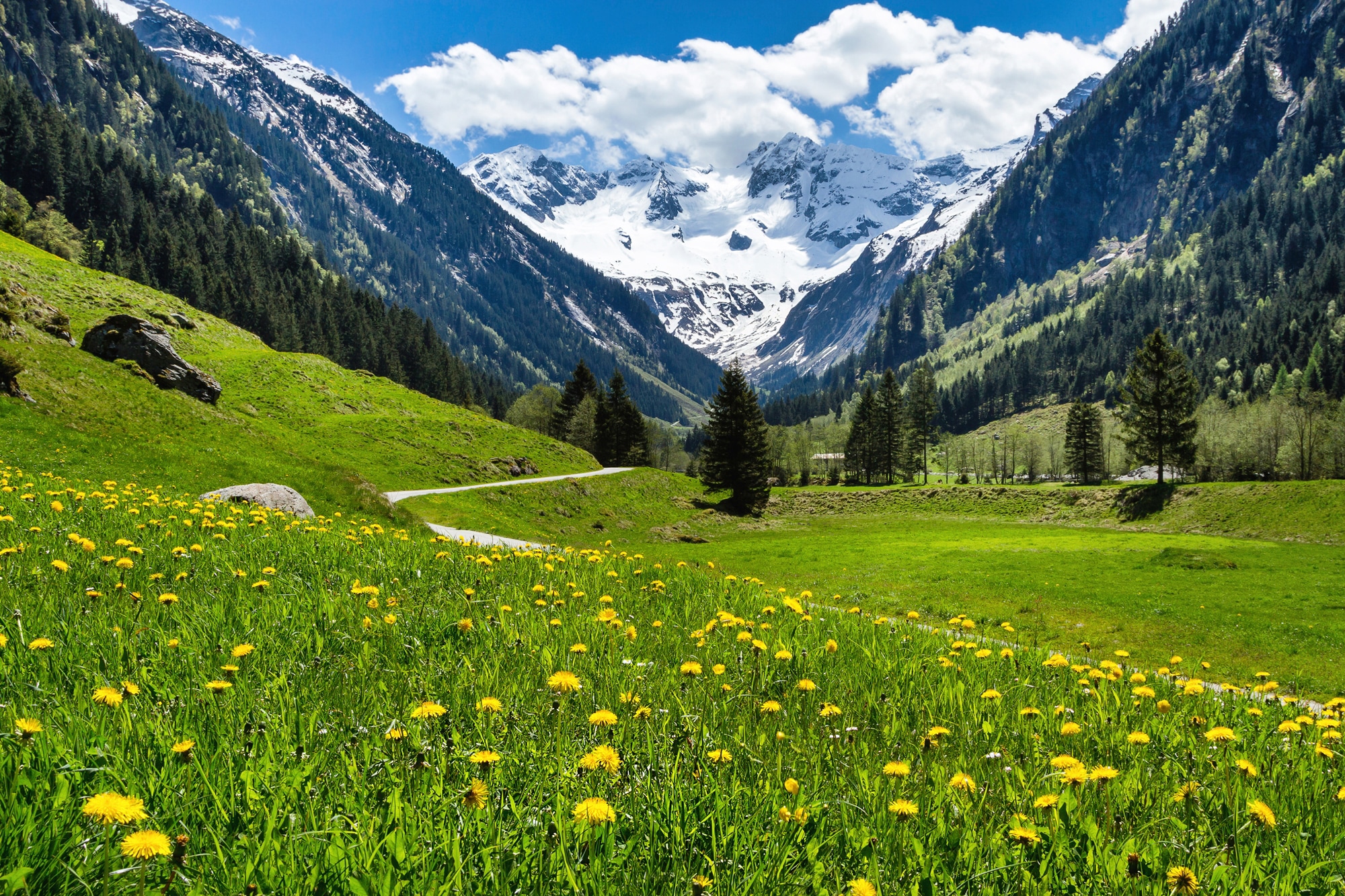 Image of Papermoon Fototapete "ALPEN TIROL GEBIRGE"