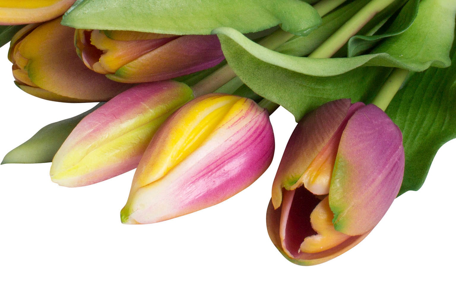 Botanic-Haus Kunstblume Tulpenbündel im 7er-Set bequem kaufen »Willa«