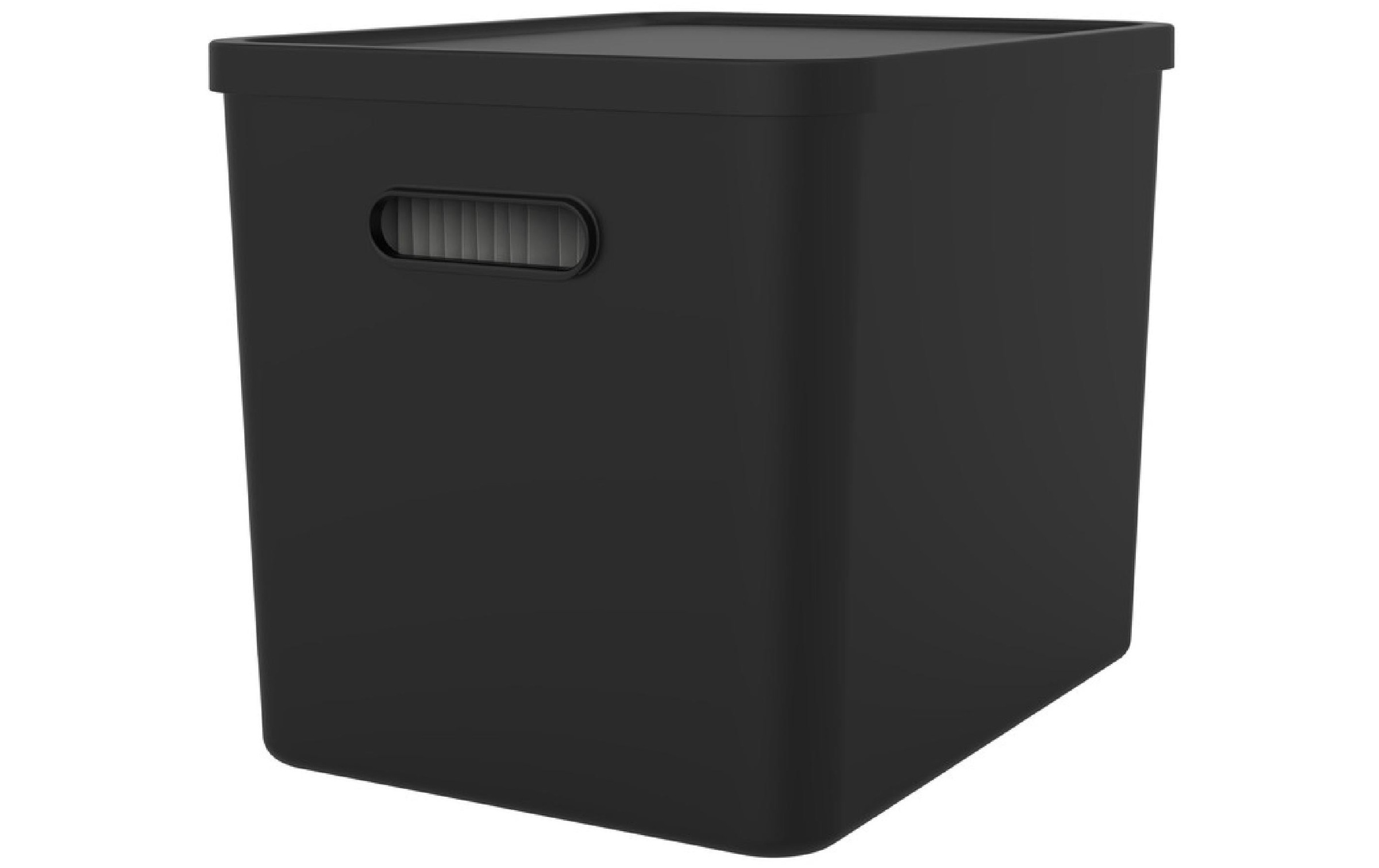 Image of ROTHO Aufbewahrungsbox "MY PAPER Basic"