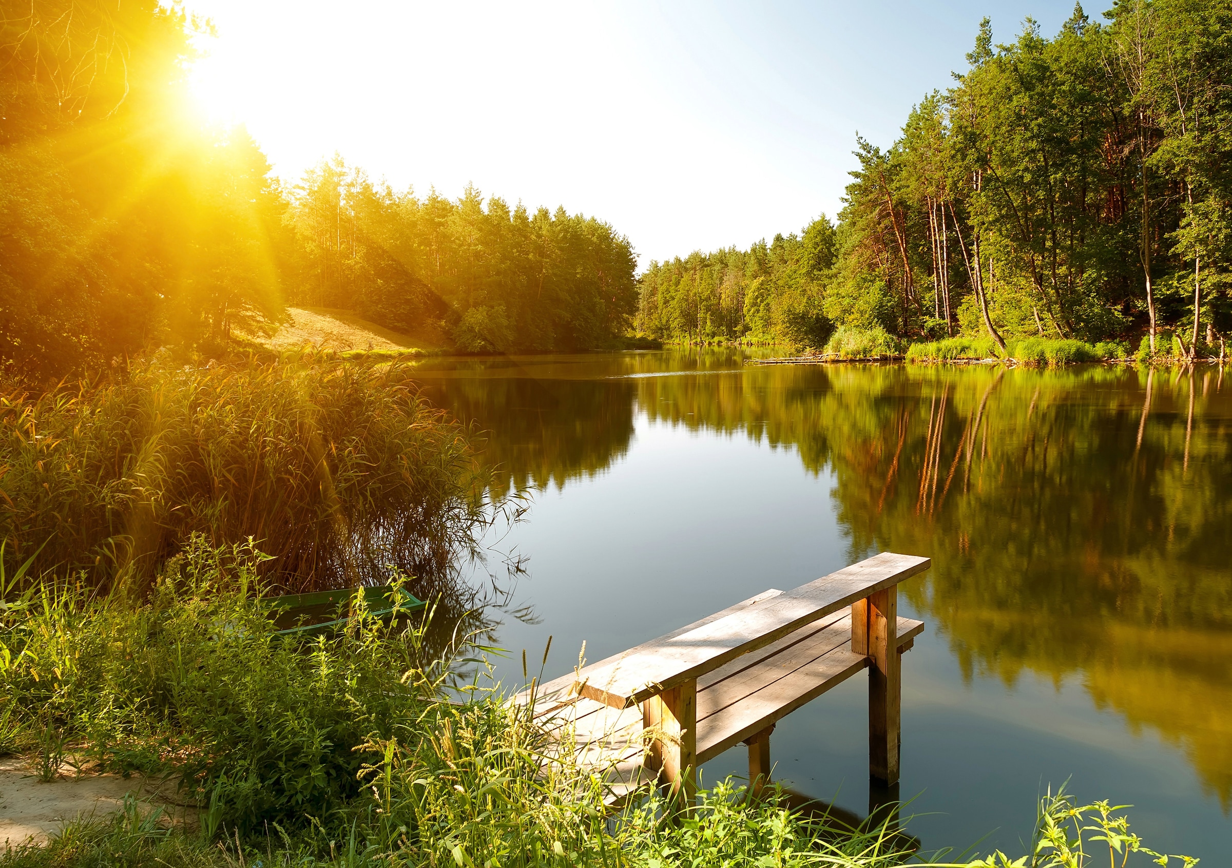Image of Papermoon Fototapete "Summer Forest Lake" glatt