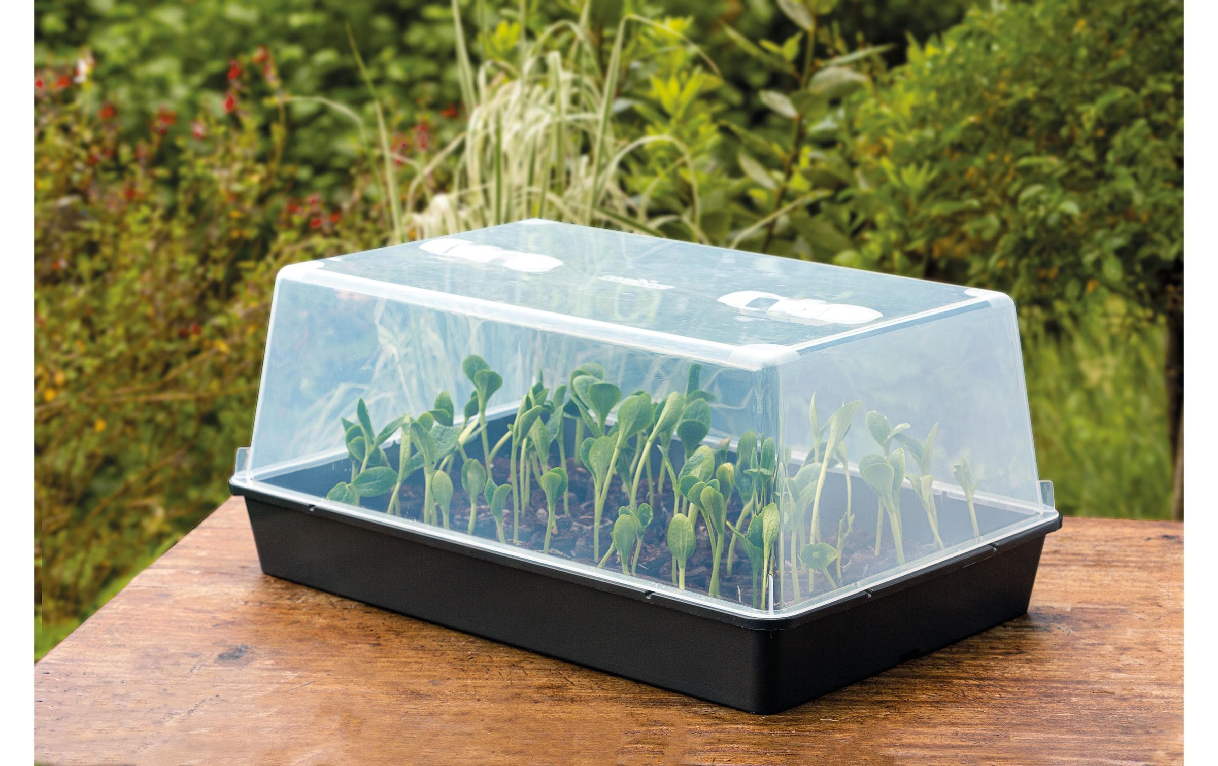   Serre »Romberg XXL mit Belüftung,stabil,lose Ware«