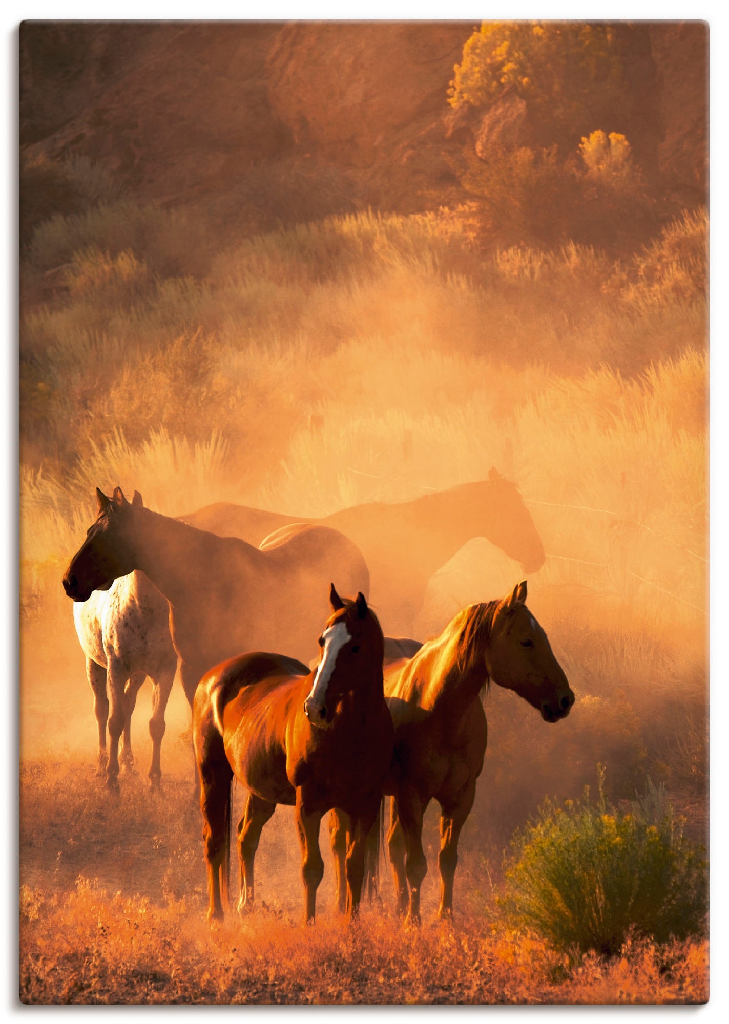 Leinwandbild »Friedliche Versammlung - Pferde«, Haustiere, (1 St.), auf Keilrahmen...
