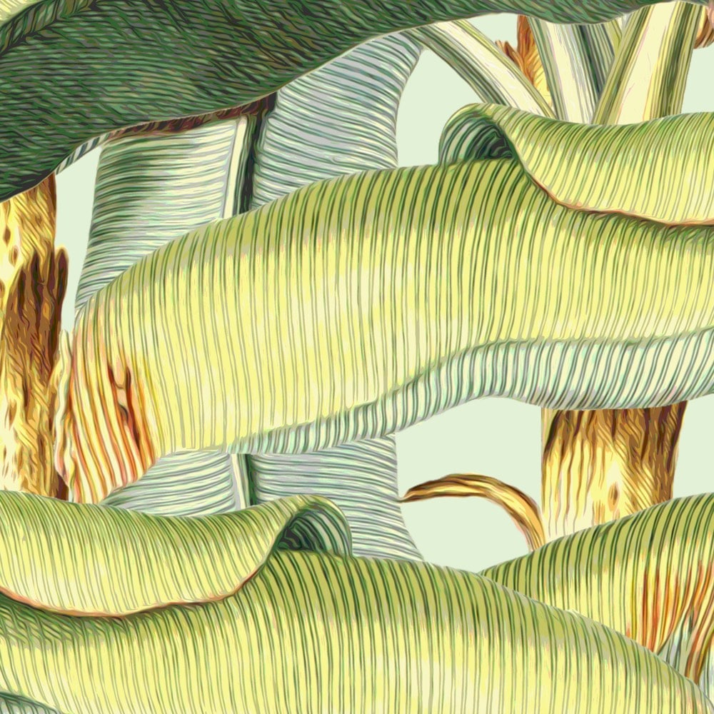 Komar Fototapete »Vlies Fototapete - Banana Grove - Grösse 200 x 250 cm« Motiv | bedruckt glatt