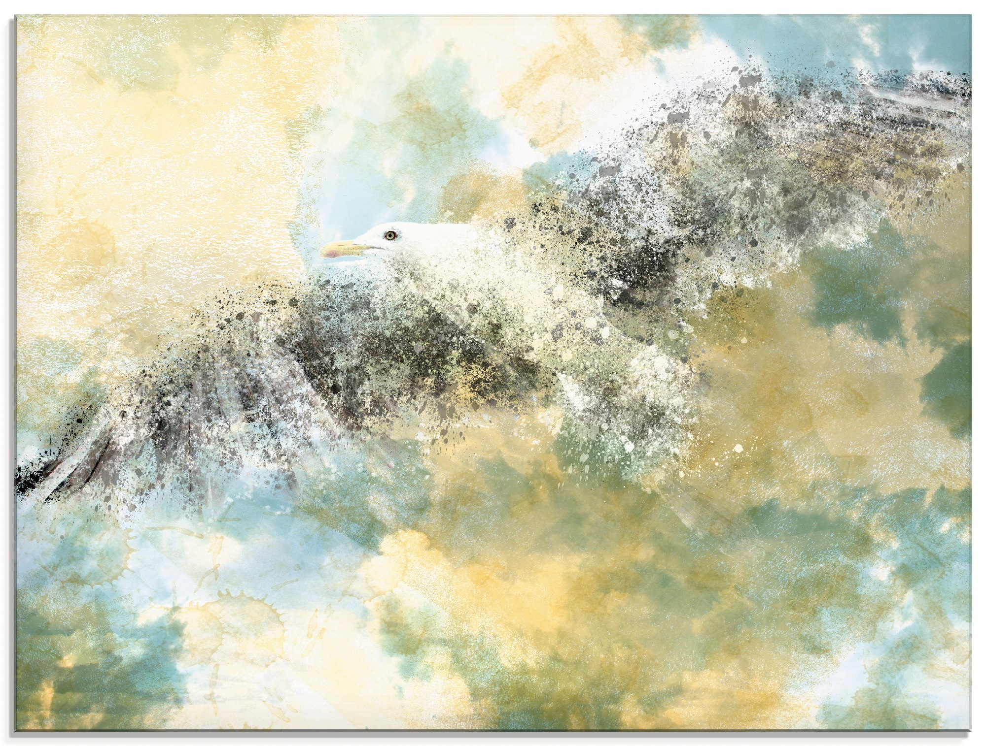 Image of Artland Glasbild »Verschwindende Möwe«, Vögel, (1 St.) bei Ackermann Versand Schweiz