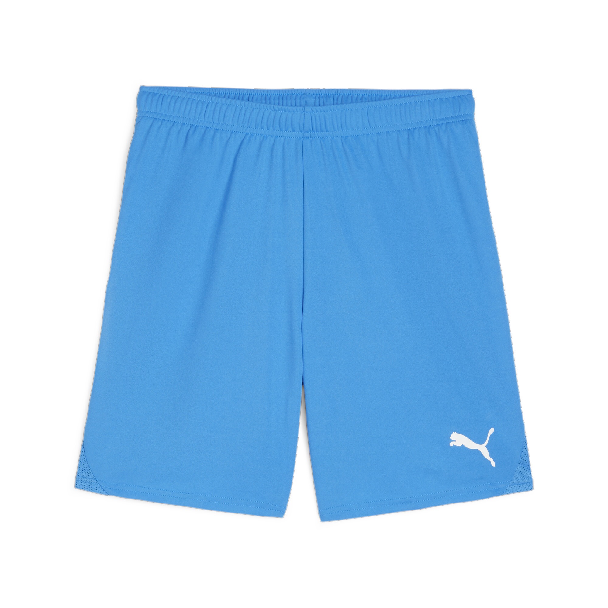 PUMA Trainingsshorts »TEAMGOAL SHORTS«
