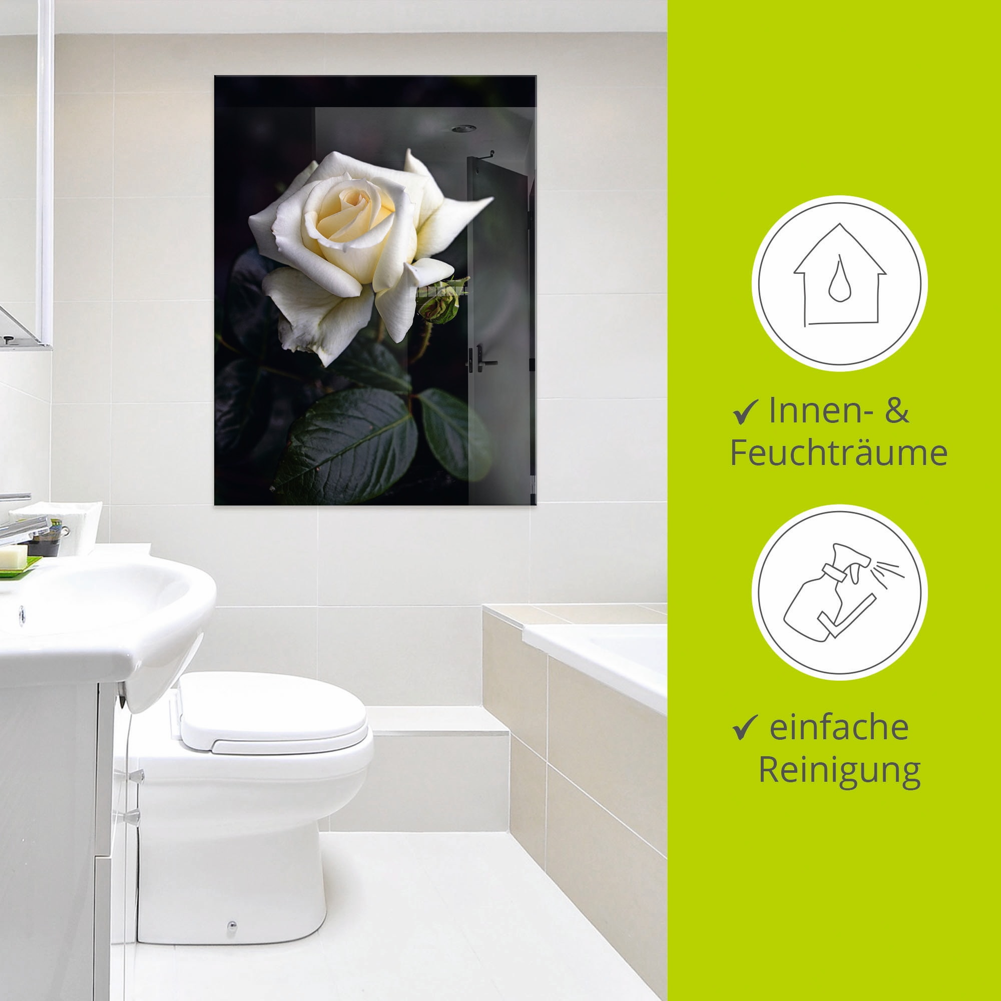 Artland Glasbild »Weiss-gelbe Rose« Blumen 1 Stk. tlg. in verschiedenen Grössen