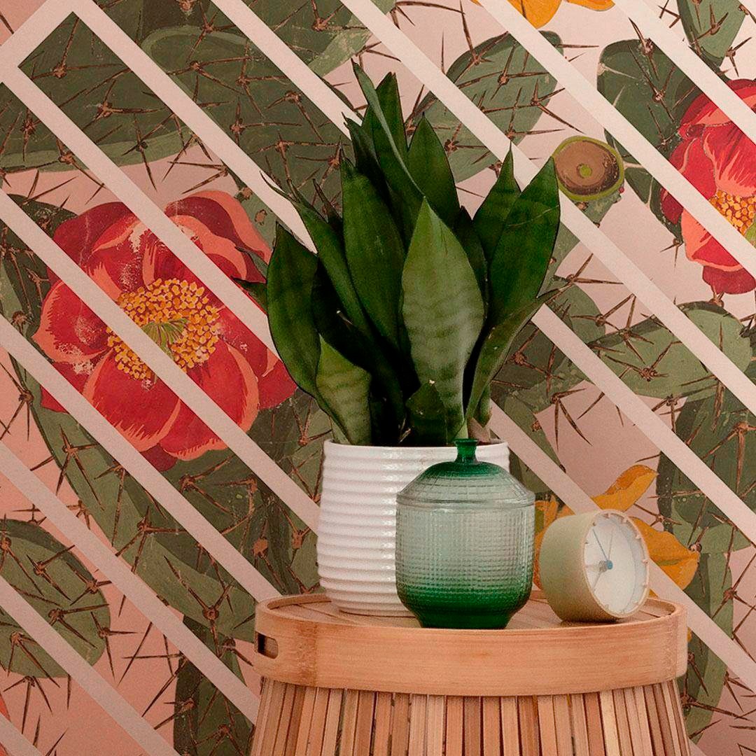 Komar Vliestapete »Digitaldruck Vlies - Cactus - Grösse 300 x 280 cm«, bedruckt, Wohnzimmer, Schlafzimmer