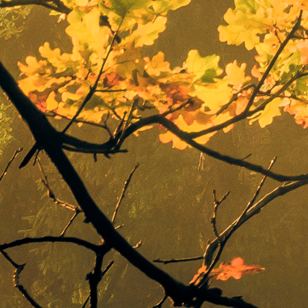 Komar Fototapete »Digitaldruck Vlies -  Devil's Bridge - Grösse 400 x 250 cm« bedruckt glatt Wohnzimmer, Schlafzimmer