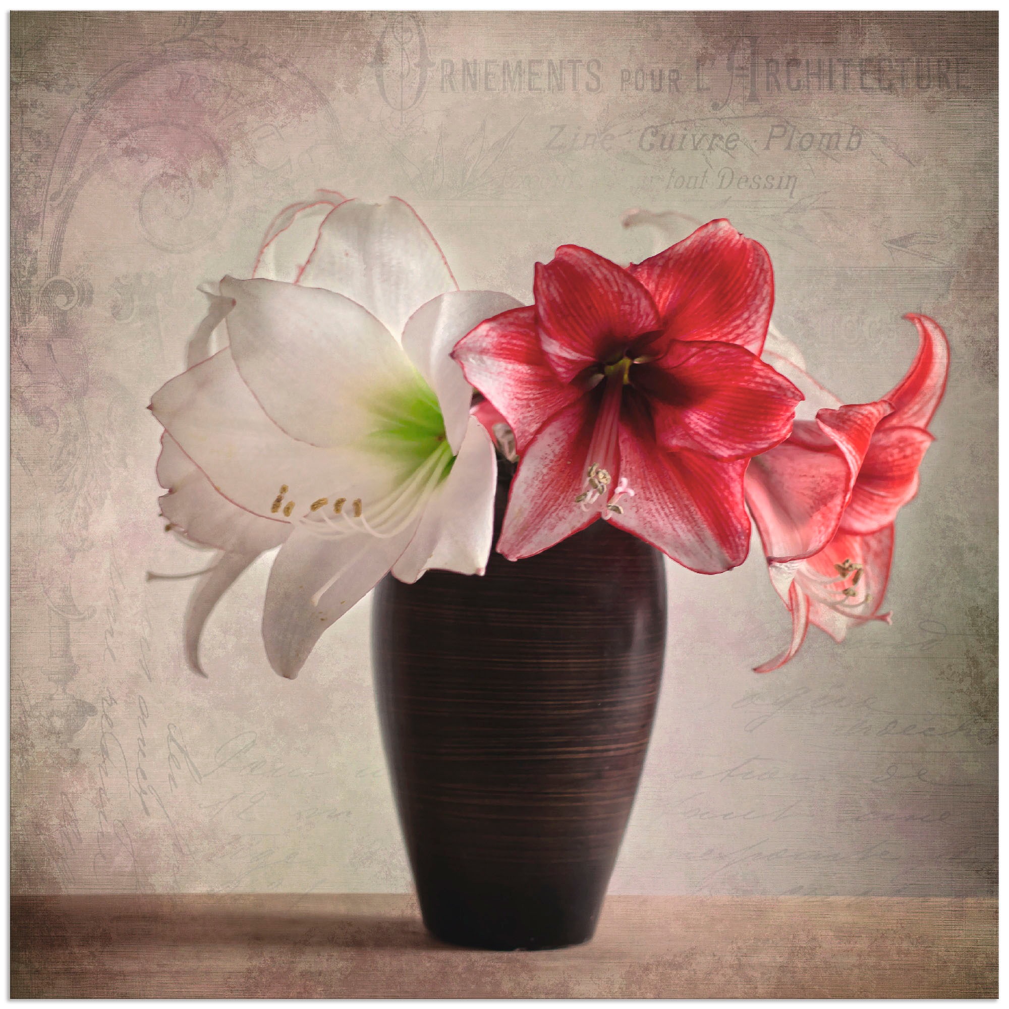 Image of Artland Alu-Dibond-Druck "Amaryllis Vintage I" Blumen 1 Stk. tlg. für Innen- und Aussenbereich geeignet, Outdoorbild