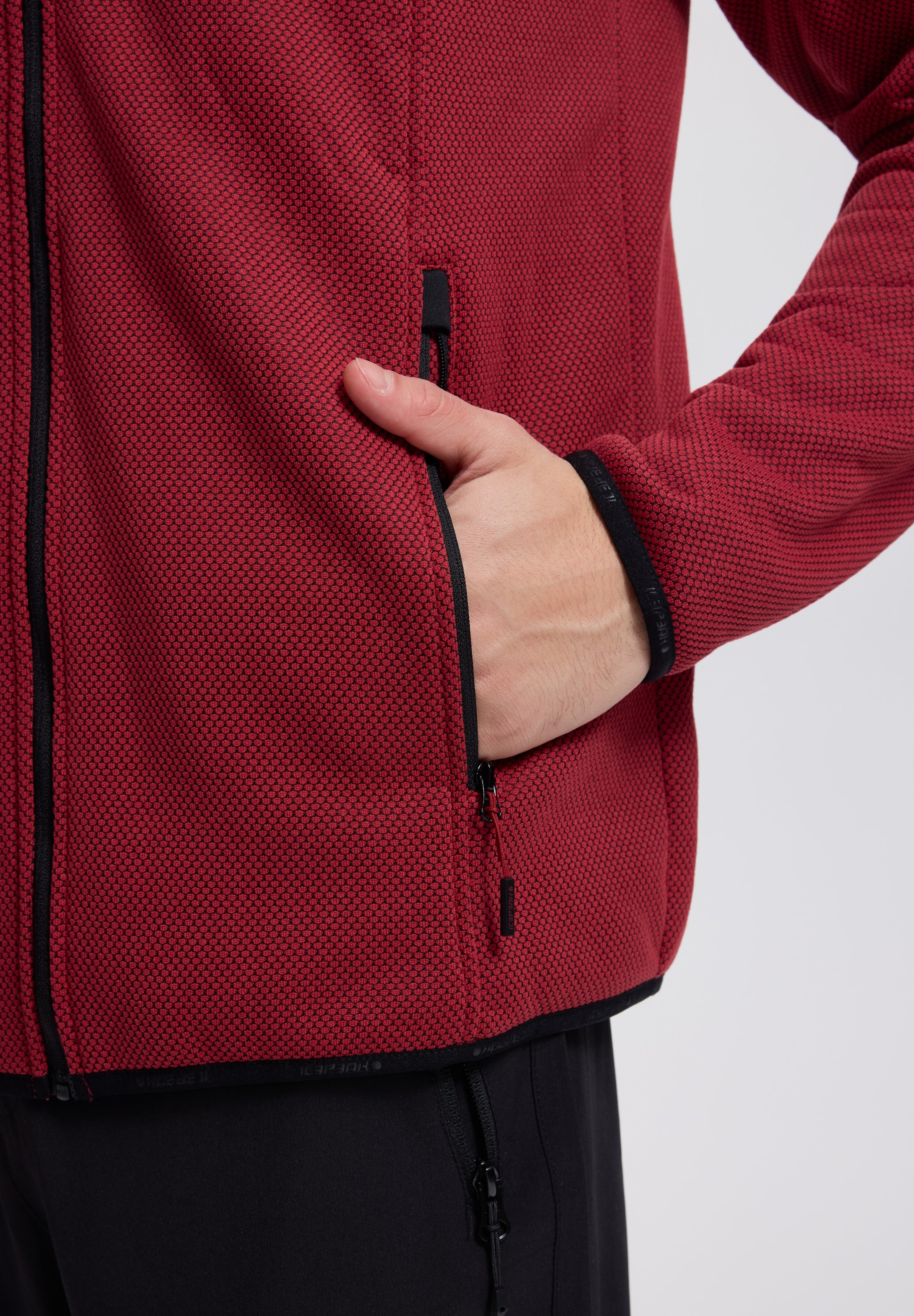 Icepeak Fleecejacke »BREDSTEDT« mit Stehkragen, sportlicher Stil