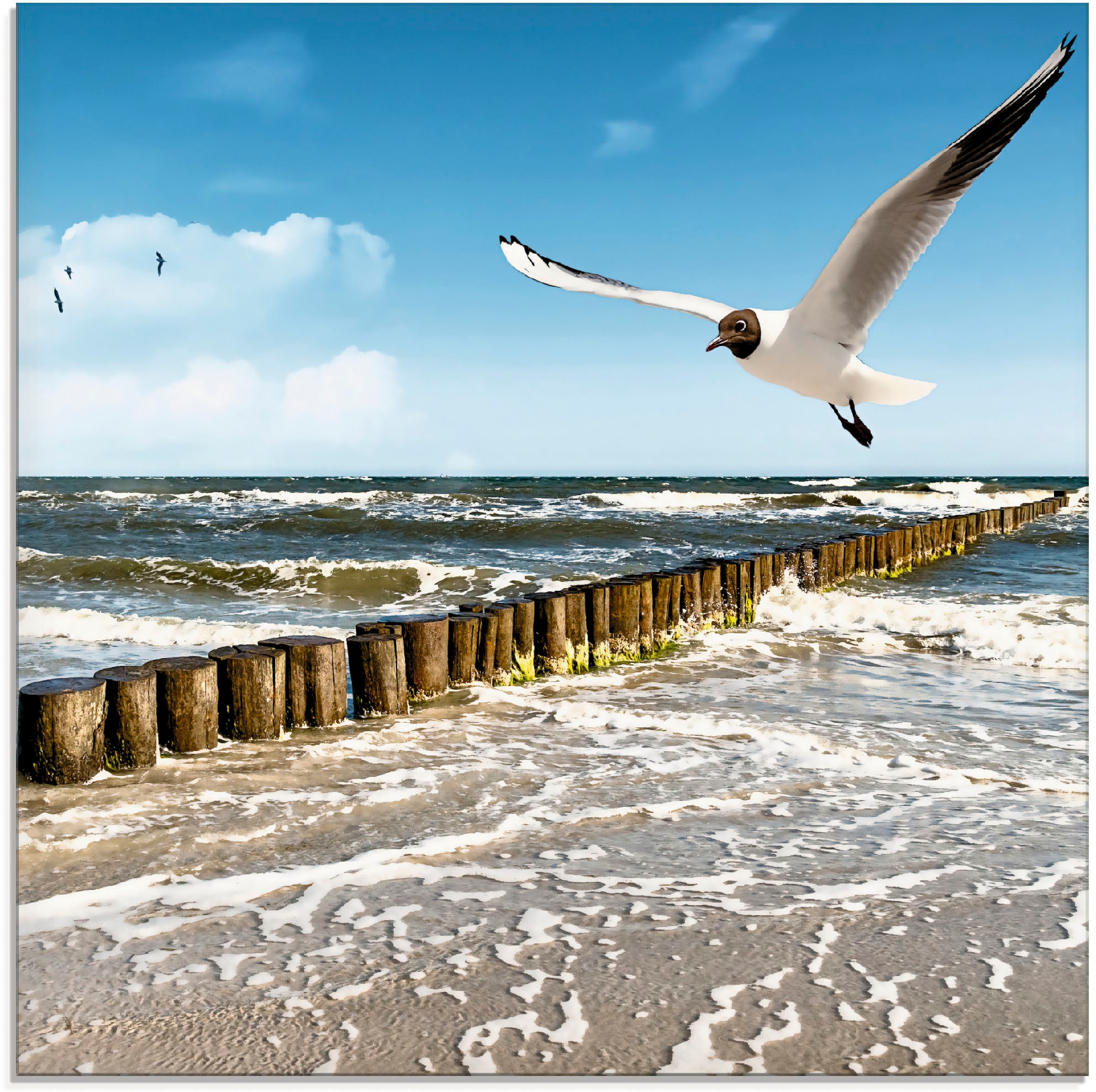 Image of Artland Glasbild "Ostsee" Gewässer 1 Stk. tlg. in verschiedenen Grössen