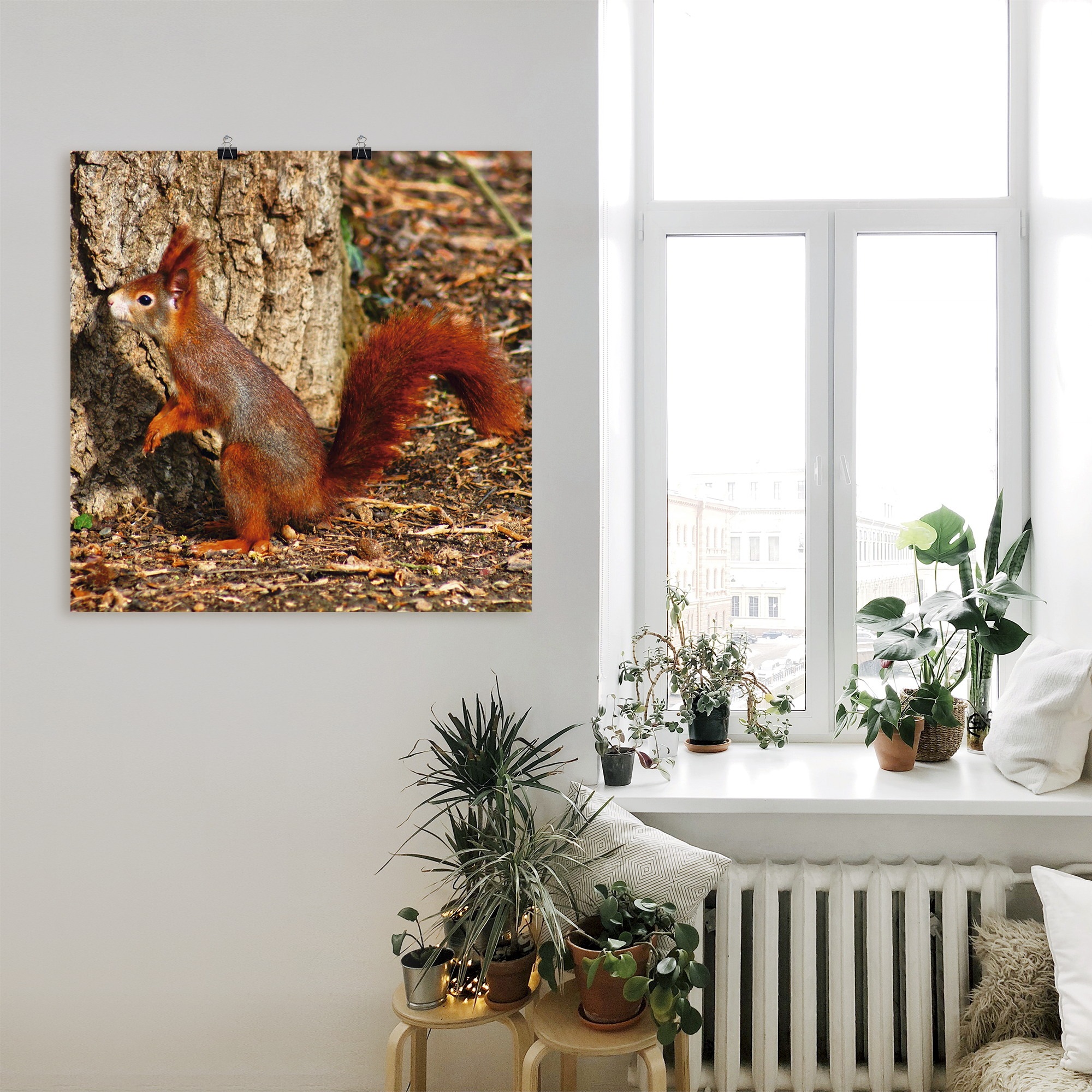 Artland Wandbild »Rotes Eichhörnchen will hoch hinaus«, Wildtiere, (1 St.), als Poster, Wandaufkleber in verschied. Grössen