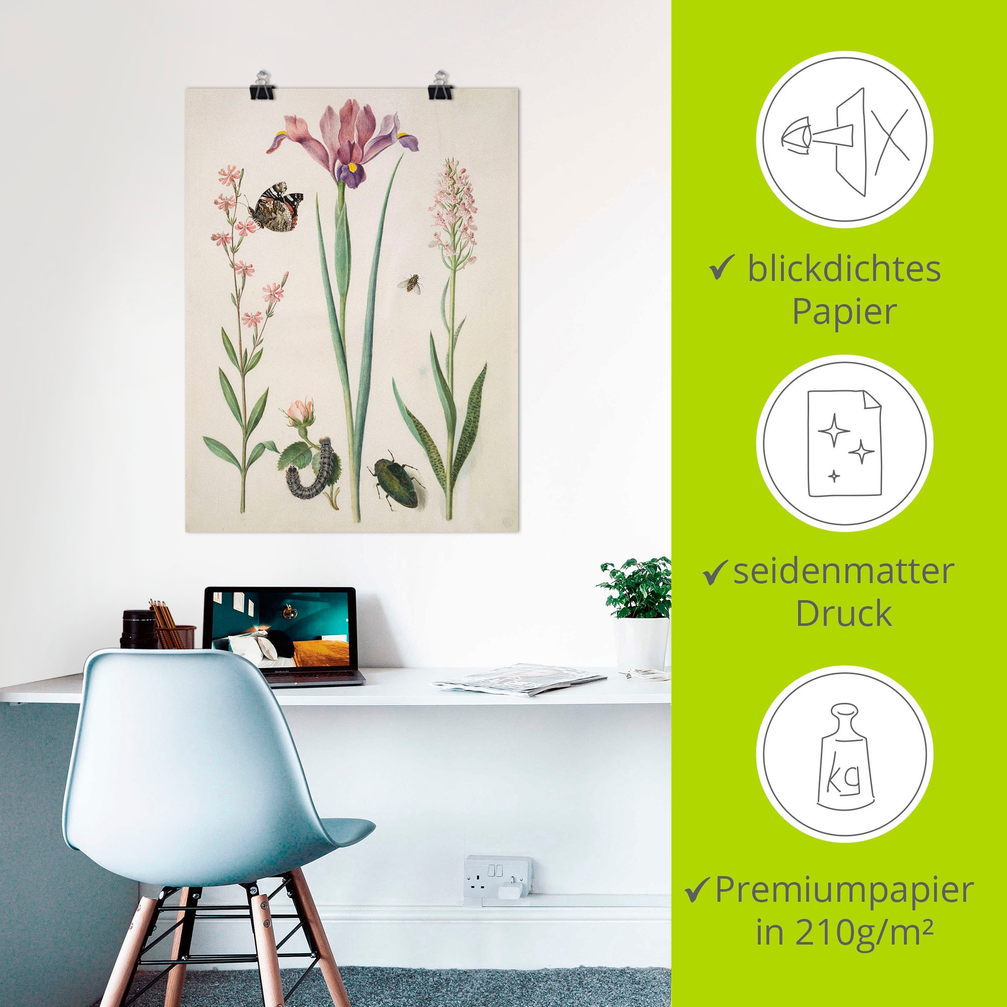 Artland Poster »Admiral, Rose Iris Knabenkraut.« Pflanzen 1 Stk. tlg. ohne Rahmen