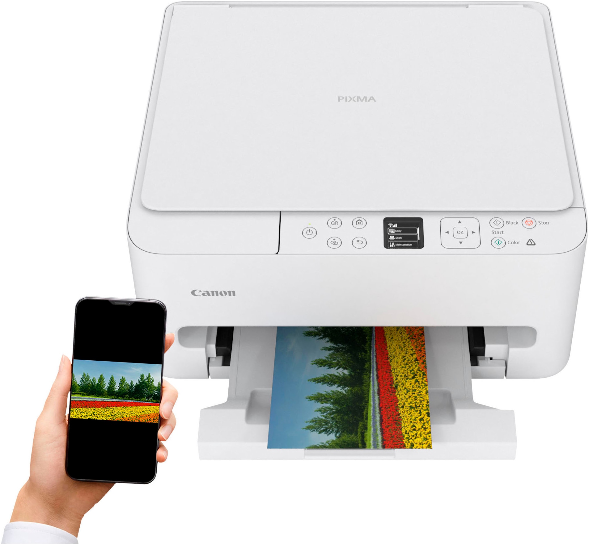 Canon Multifunktionsdrucker »PIXMA TS6550i«