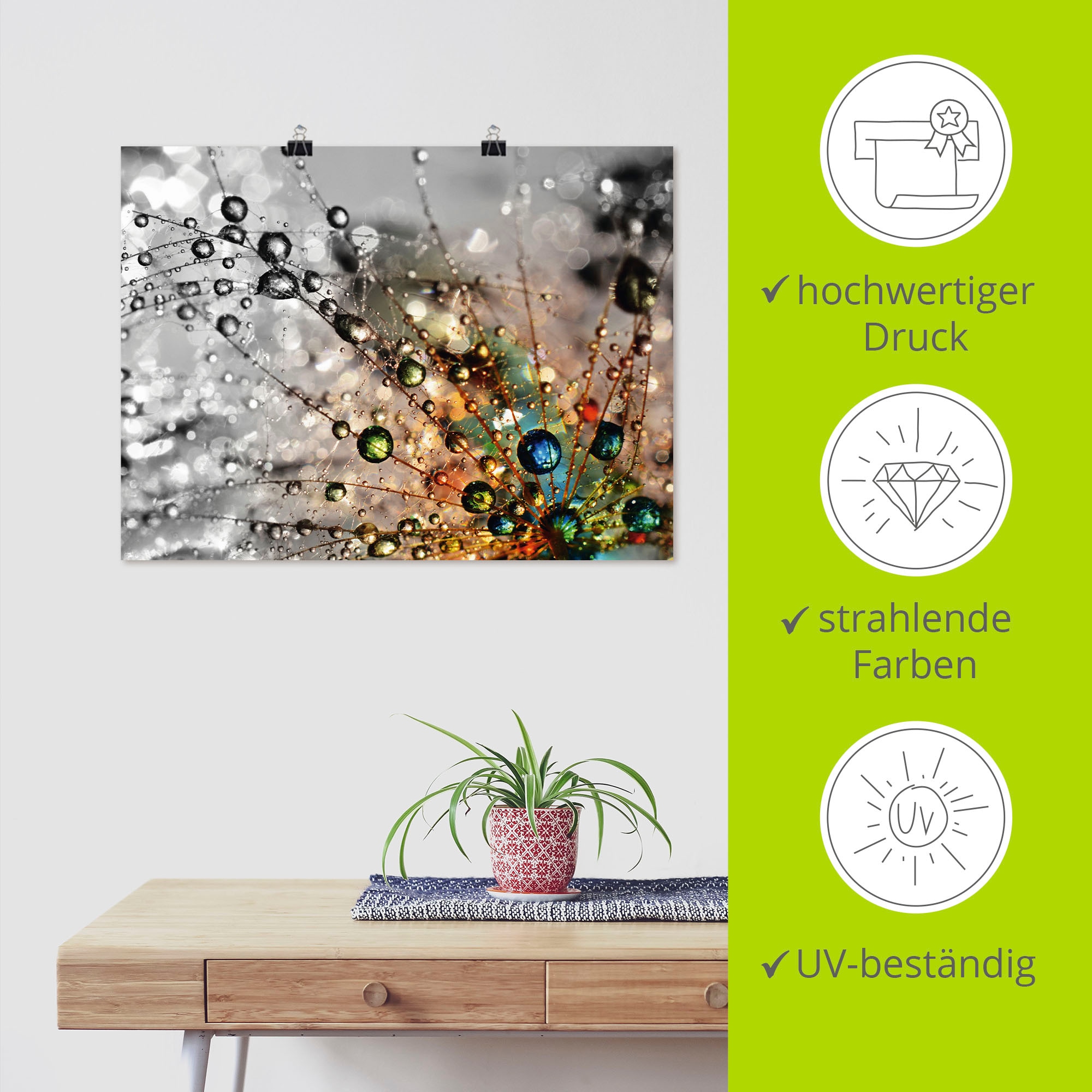 Artland Wandbild »Farbenfrohe Natur«, Blumen, (1 St.), als Alubild, Outdoorbild, Leinwandbild, Poster, Wandaufkleber