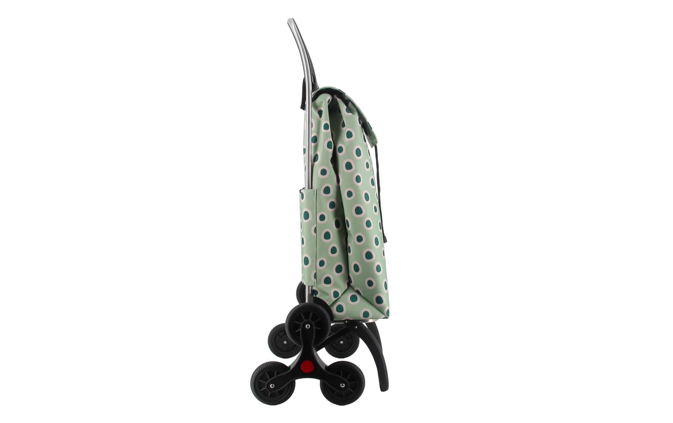 Rolser Chariot à provisions »MF 6«