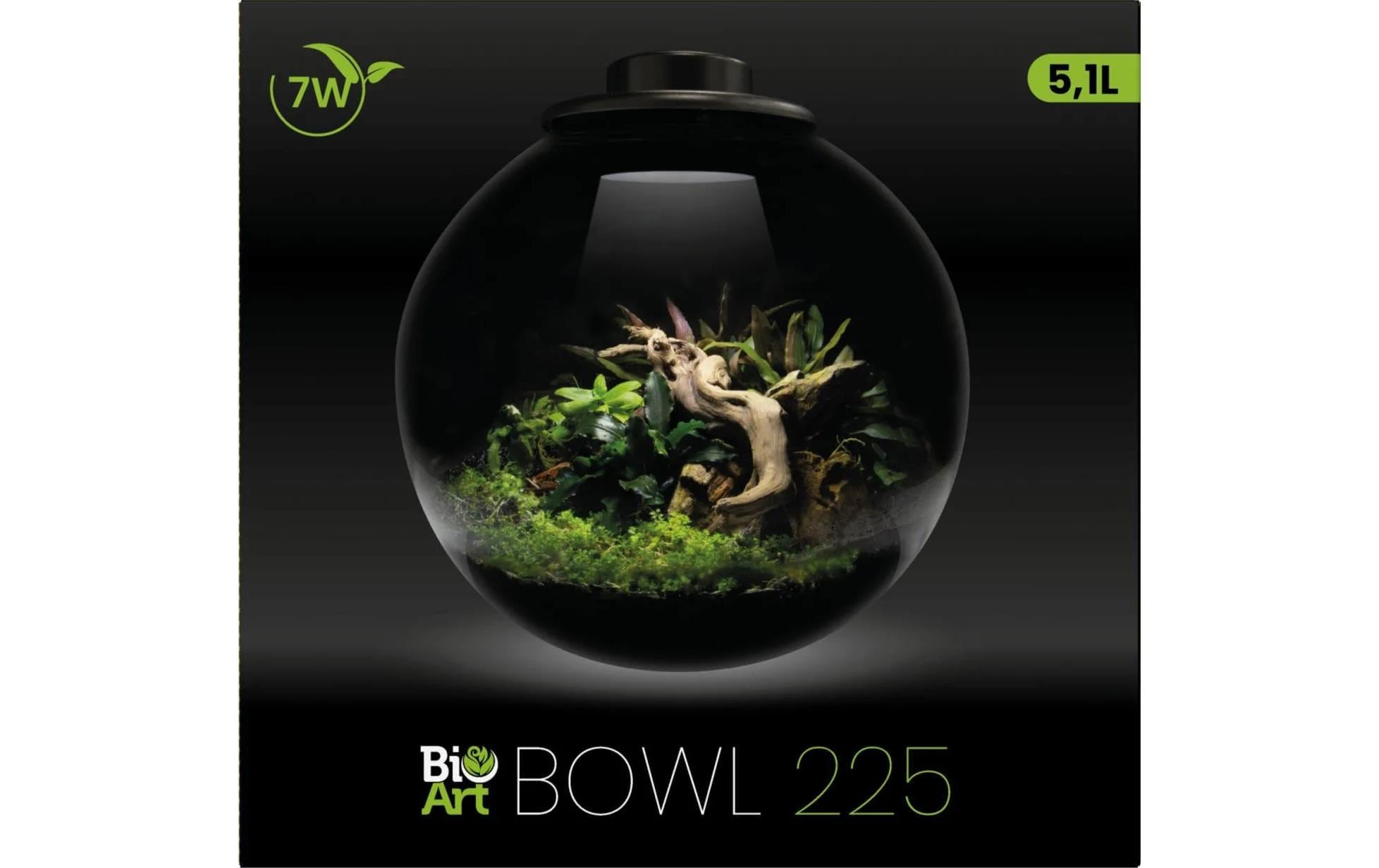   LED Dekoobjekt »Bio Art Pflanzengefäss Bowl 225«