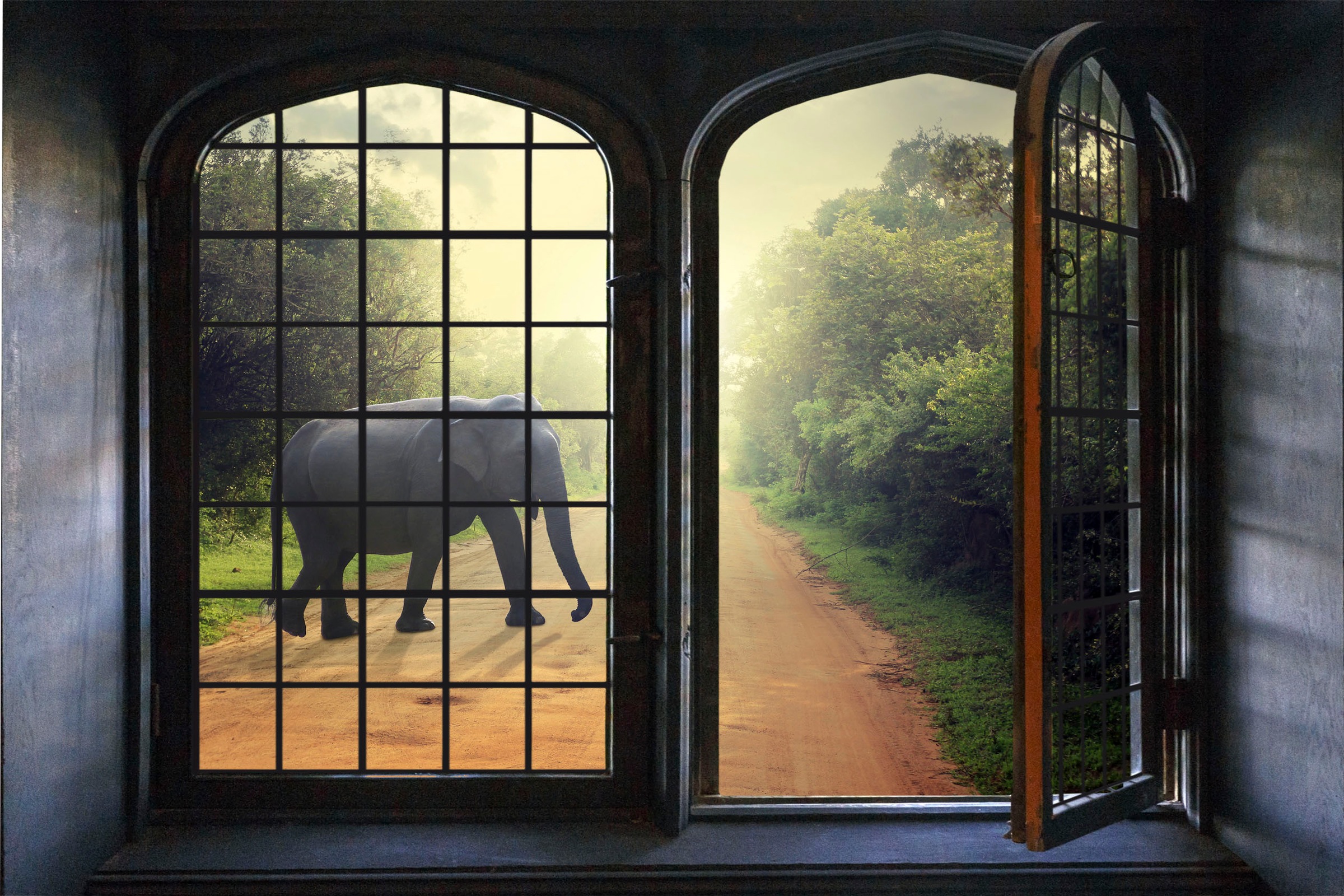 Image of queence Wandsticker "Elefant" Wandsticker, Wandbild, selbstklebend, 3D, Fenster