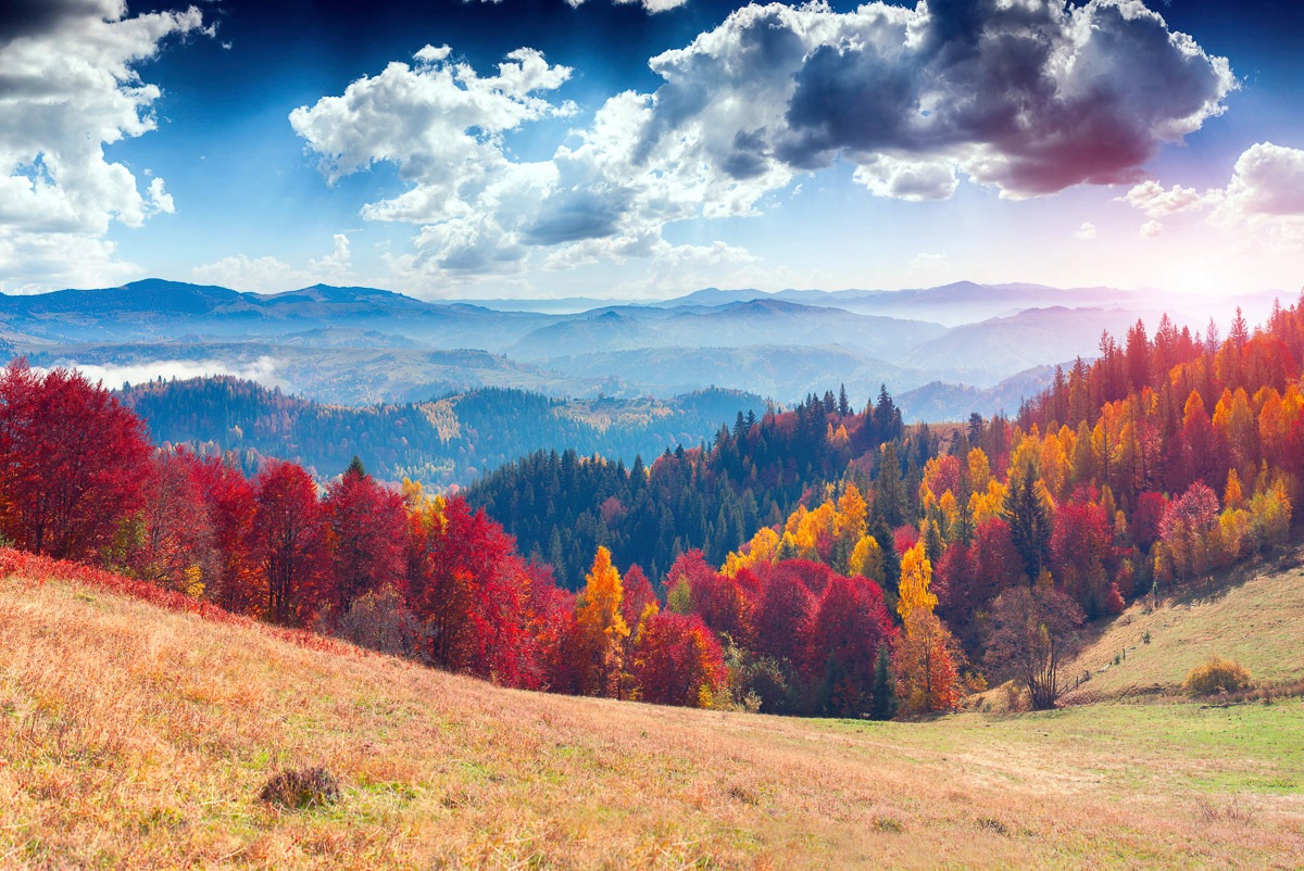 Image of Papermoon Fototapete »Kleine Insel in Nebligem Fluss«, Vliestapete, hochwertiger Digitaldruck, inklusive Kleister bei Ackermann Versand Schweiz
