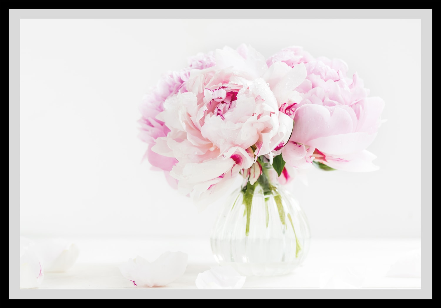 Image of queence Bild "Carina" Blumen Foto Kunst Pflanzen Pflanzenbilder gerahmt, Rosen
