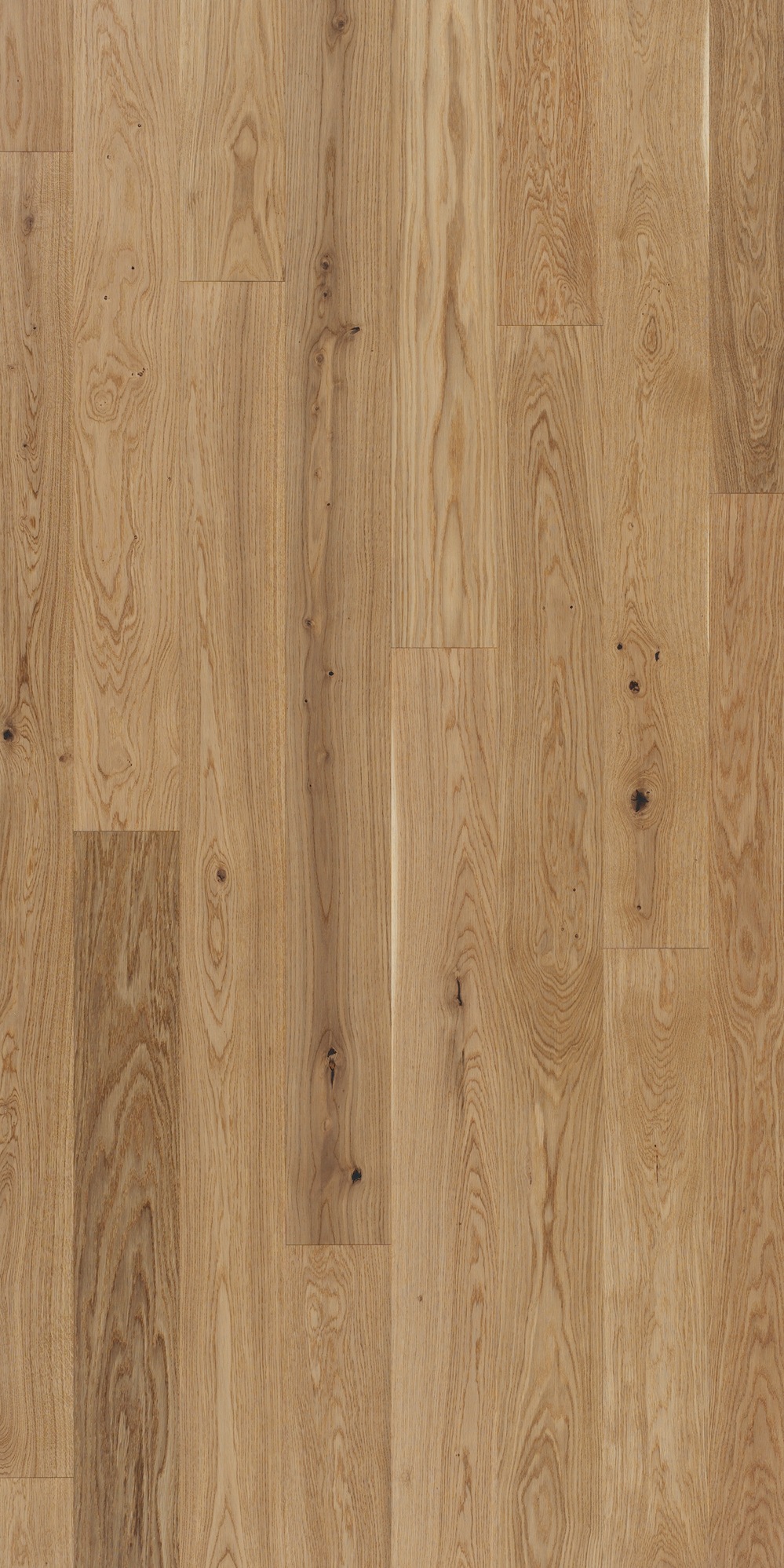 Image of PARADOR Parkett »Trendtime 4 Living - Eiche cream, lackiert«, (Packung), Klicksystem, 2010 x 160 mm, Stärke: 13 mm, 2,89 m² bei Ackermann Versand Schweiz