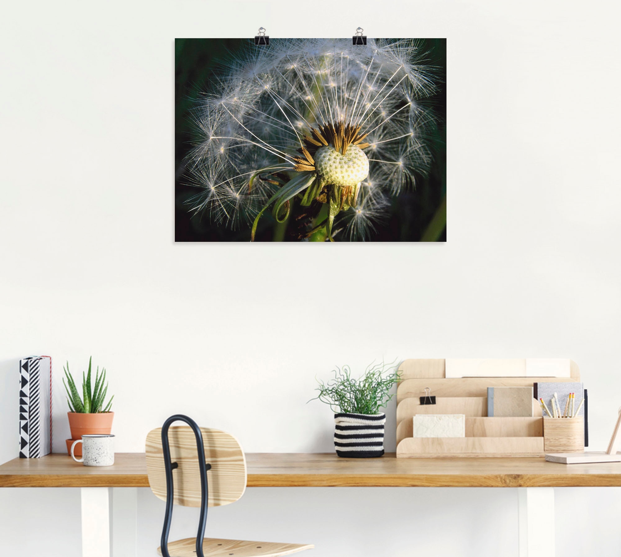Artland Poster »Pusteblume«, Blumen, (1 St.), als Alubild, Leinwandbild, Wandaufkleber oder Poster in versch. Grössen