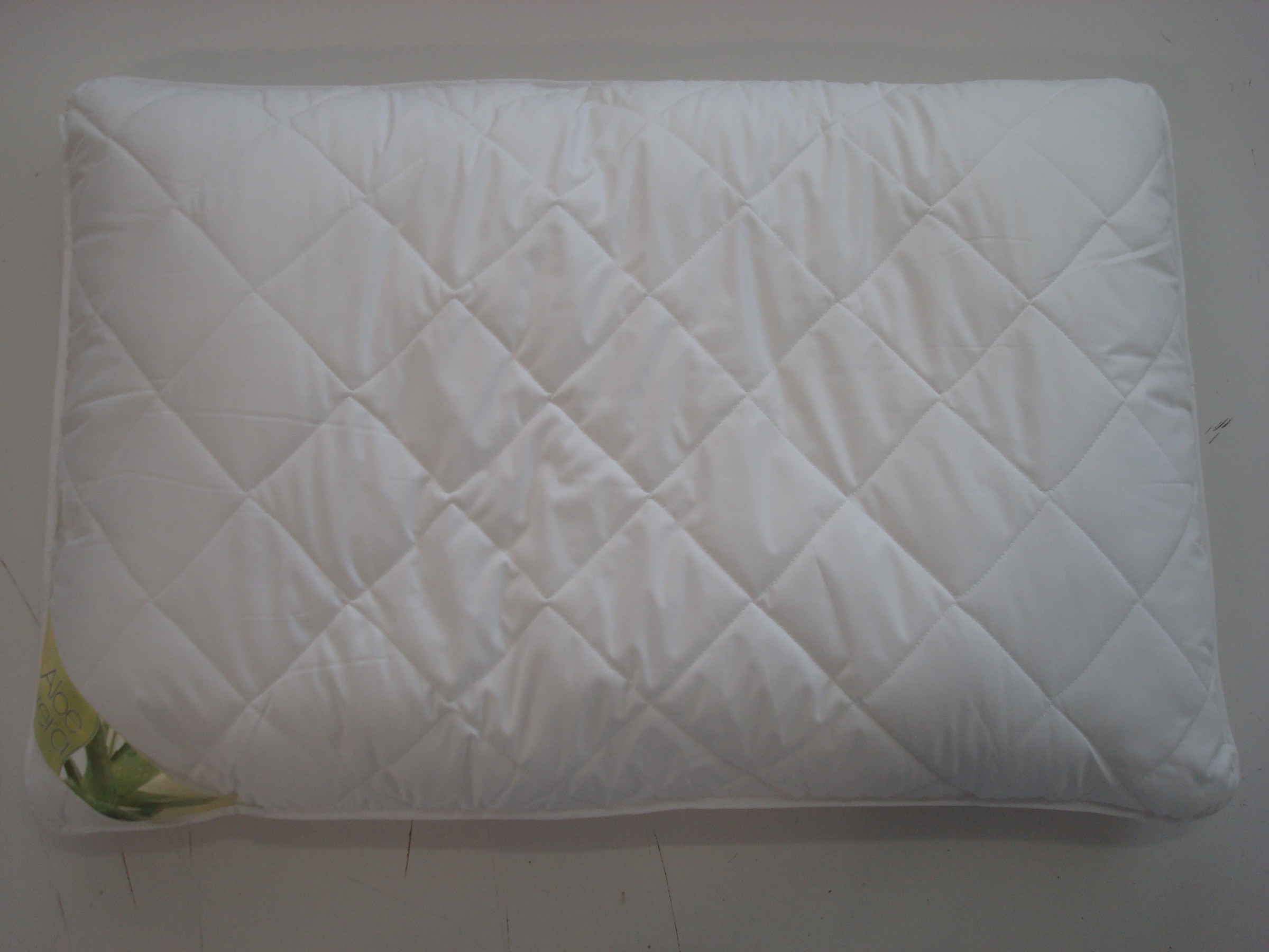 Image of Kyburz Microfaserkissen »Aloe Vera«, Füllung: Versteppte Hülle, Microfaser - 100% Polyester, Bezug: 100% Polyester - Klimafaser, (1 St.) bei Ackermann Versand Schweiz