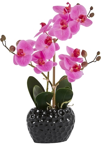 Leonique Kunstpflanze »Orchidee«, (1 St.), Kunstorchidee, im Topf kaufen