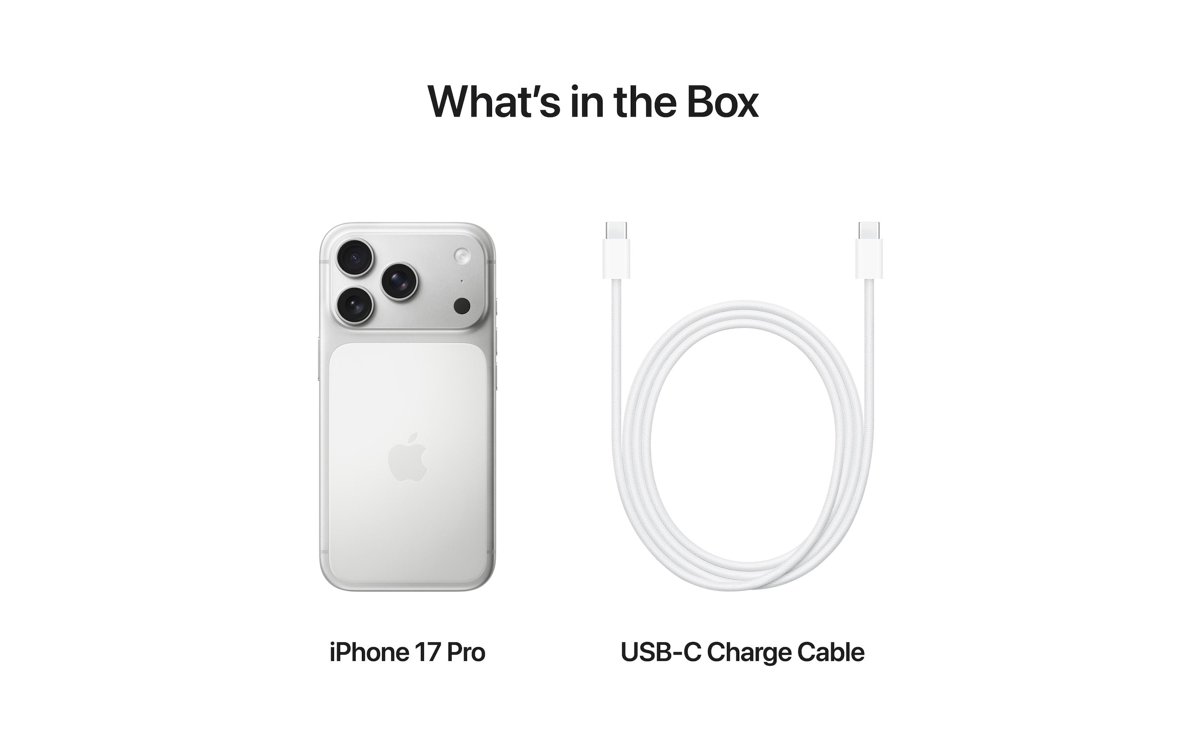 Apple Smartphone »iPhone 17 Pro« Silberfarben Induktionsladung