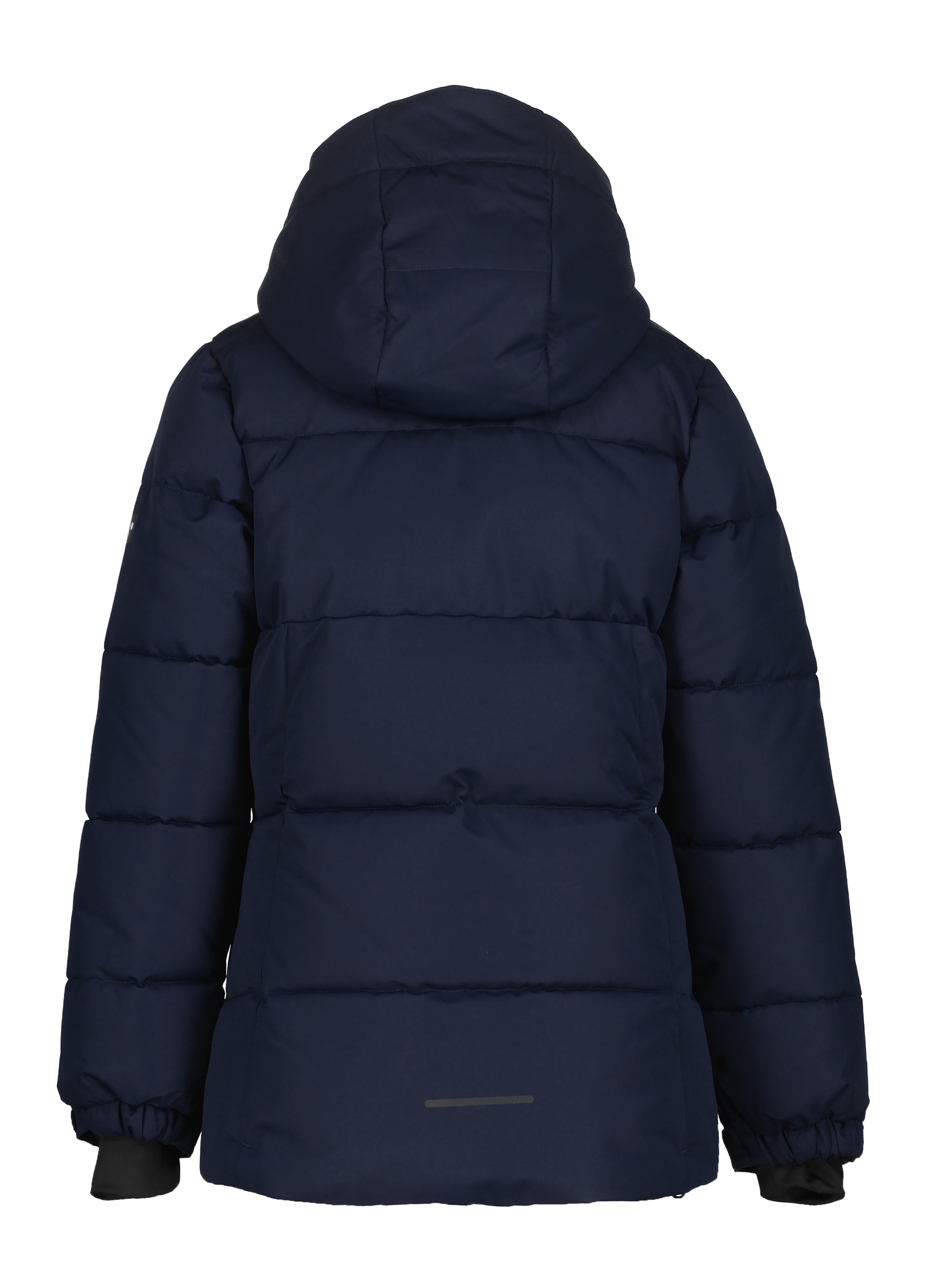 Icepeak Veste de ski »ICEPEAK LORIS JR«