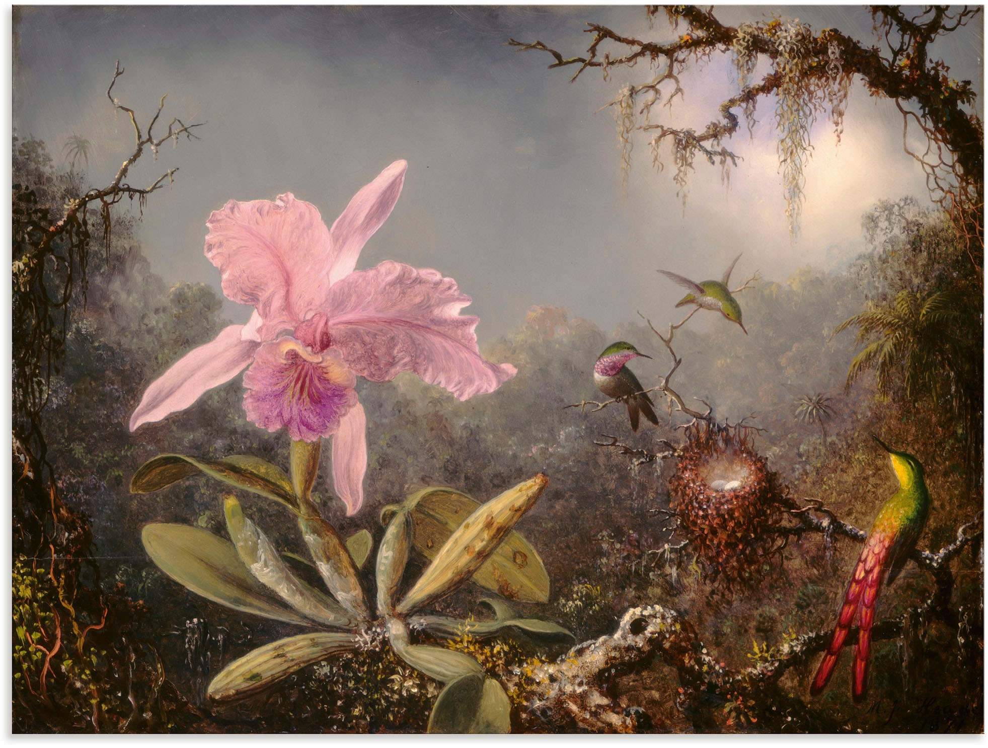 Image of Artland Wandbild »Cattleya Orchidee und drei Kolibris.«, Blumenbilder, (1 St.), in vielen Grössen & Produktarten - Alubild / Outdoorbild für den Aussenbereich, Leinwandbild, Poster, Wandaufkleber / Wandtattoo auch für Badezimmer geeignet bei Ackermann Ver