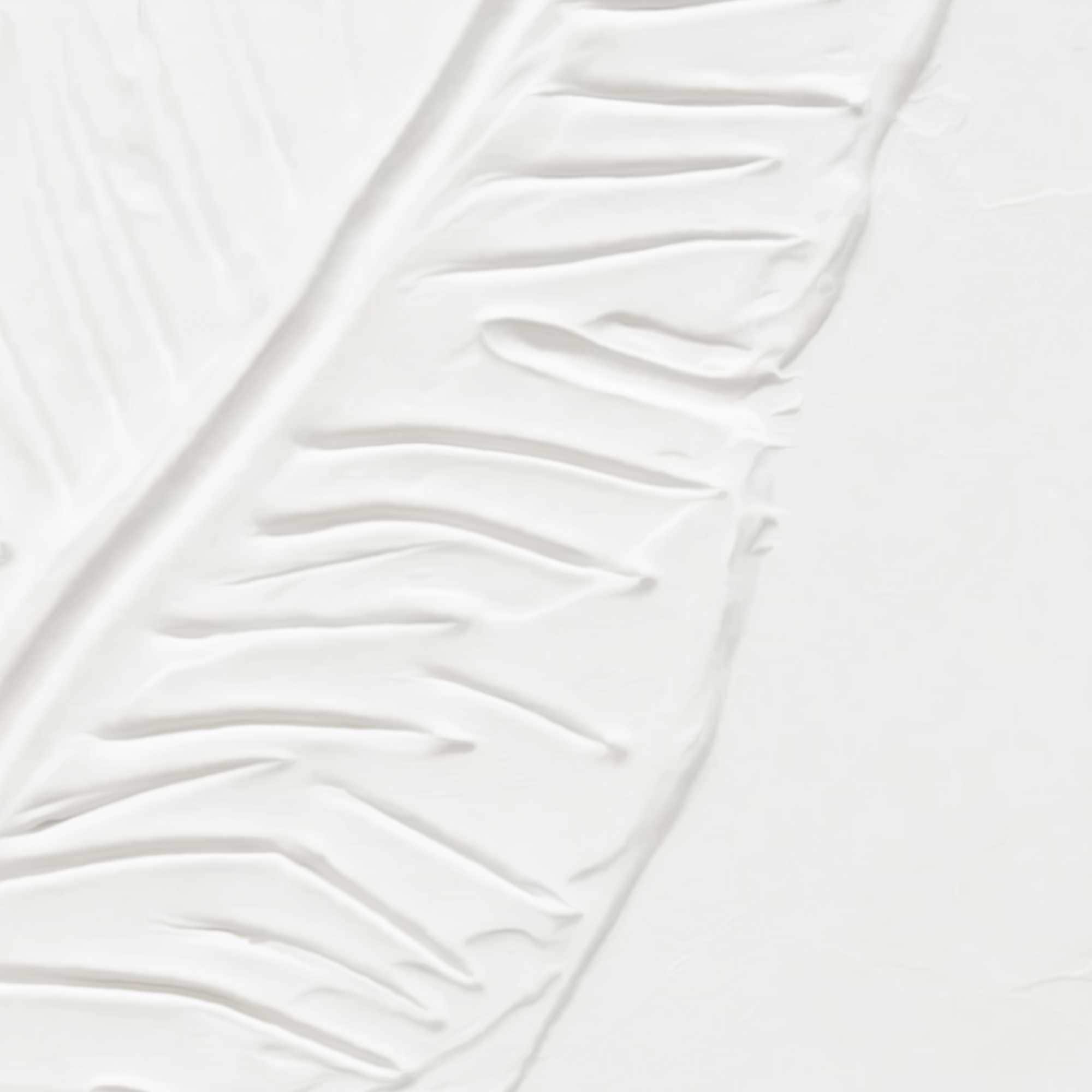 Reinders! Fresque murale »Tropische Blätter«