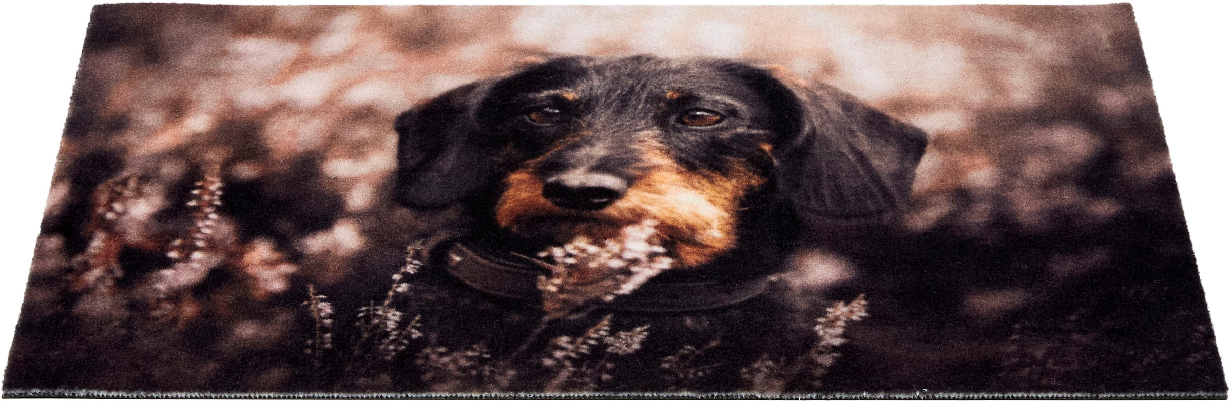 ASTRA Fußmatte "Deco Print 106" rechteckig 5 mm Höhe Sauberlaufmatte, Türmatte, waschbar, Eingangsbereich, rutschfest