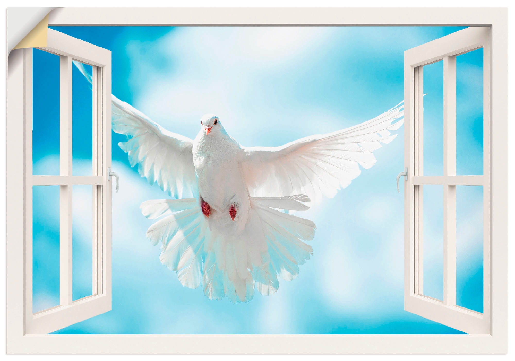 Artland Wandbild »Fensterblick Taube vor der Sonne«, Vögel, (1 St.), als  Alubild, Leinwandbild, Wandaufkleber oder Poster in versch. Grössen acheter  confortablement
