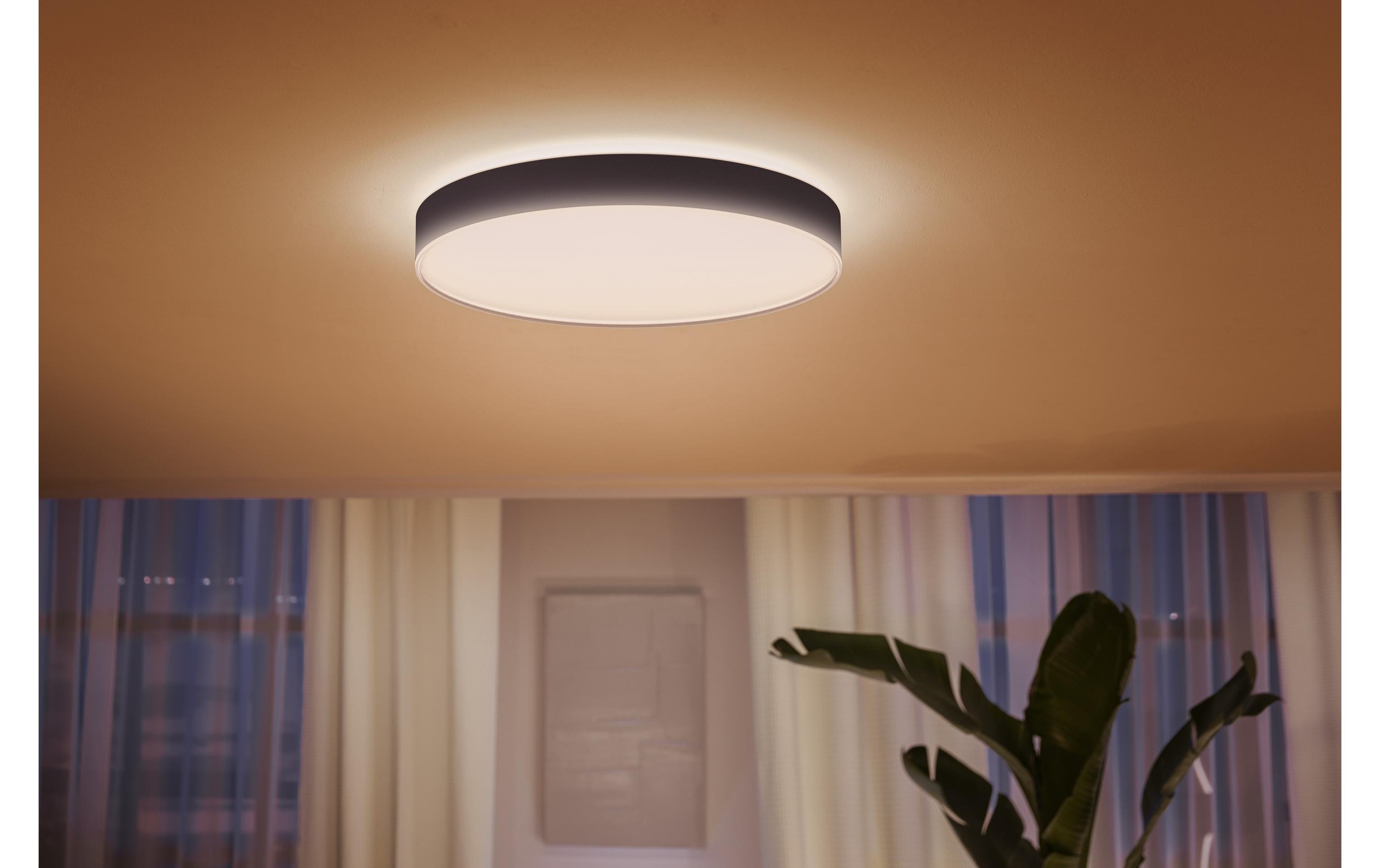 Philips Hue Deckenleuchte »Hue Deckenleuchte White«, 1 flammig