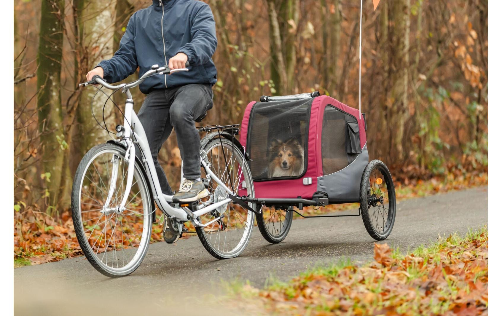 TRIXIE Remorque vélo pour chien »53 x 60 x 60/117 cm« Remorque à vélo pour chiens avec système de fixation rapide