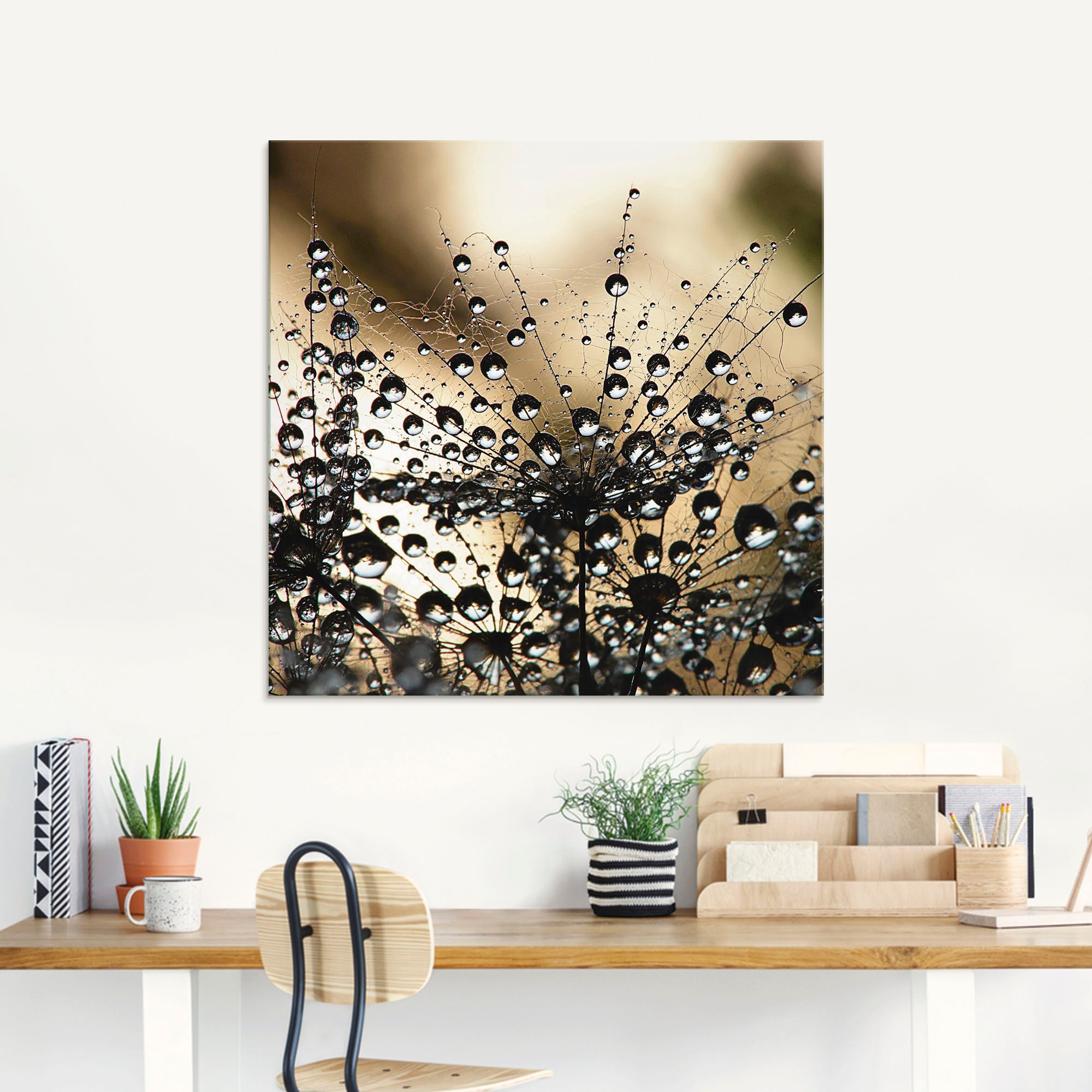 Artland Glasbild »Nasser Löwenzahn«, Blumen, (1 St.), in verschiedenen Grössen