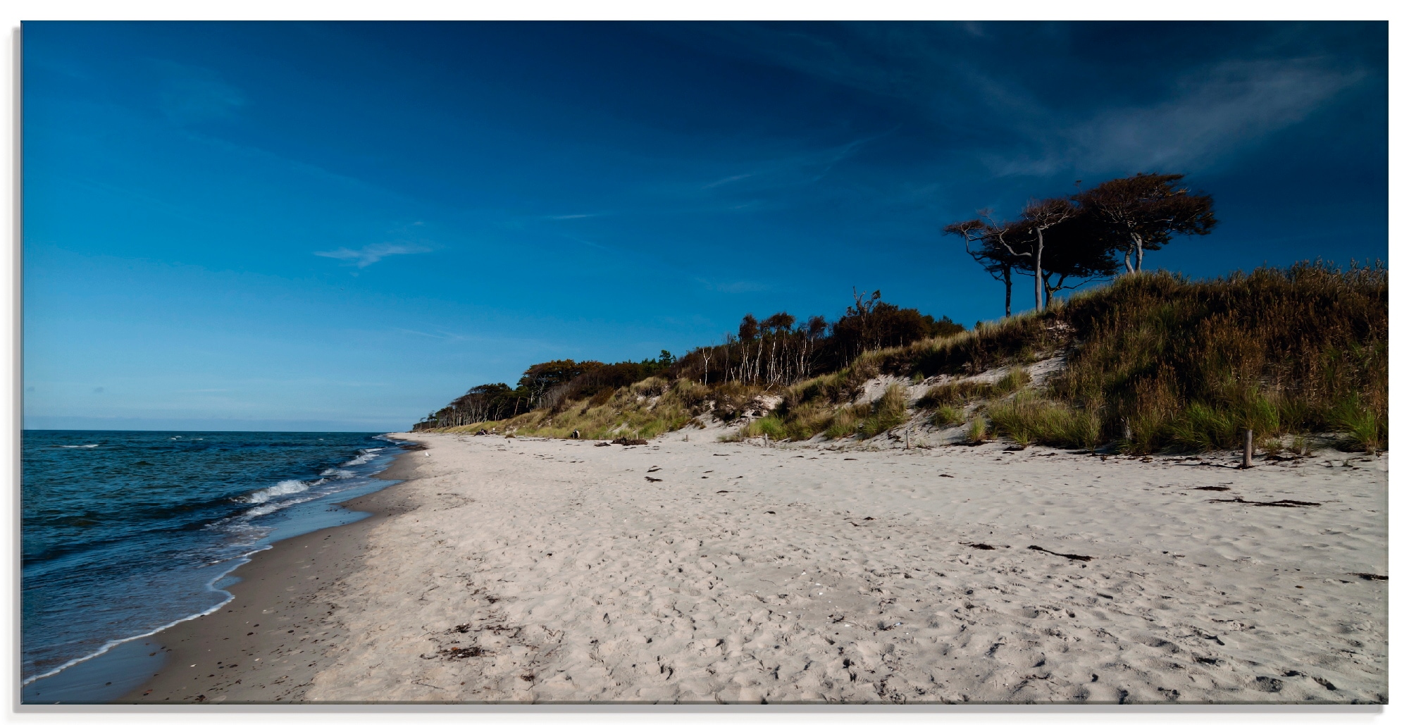 Image of Artland Glasbild "Am Weststrand- Ostsee - Darss" Strand 1 Stk. tlg. in verschiedenen Grössen