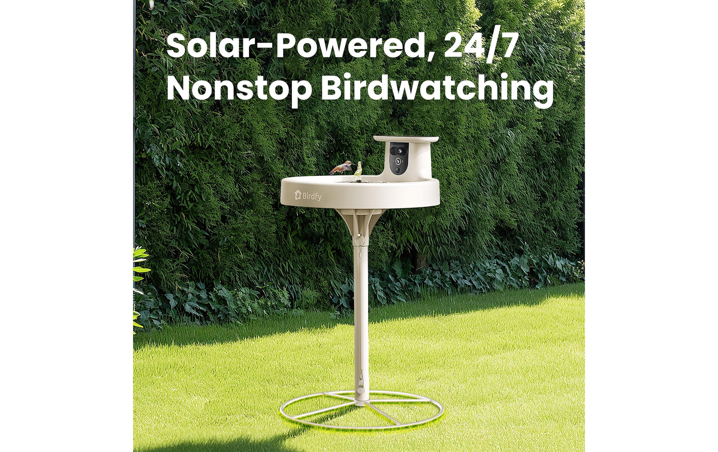 Birdfy Vogeltränke »Vogelbad mit Kamera« Solarbetrieben, KI und Video Vogelerkennung