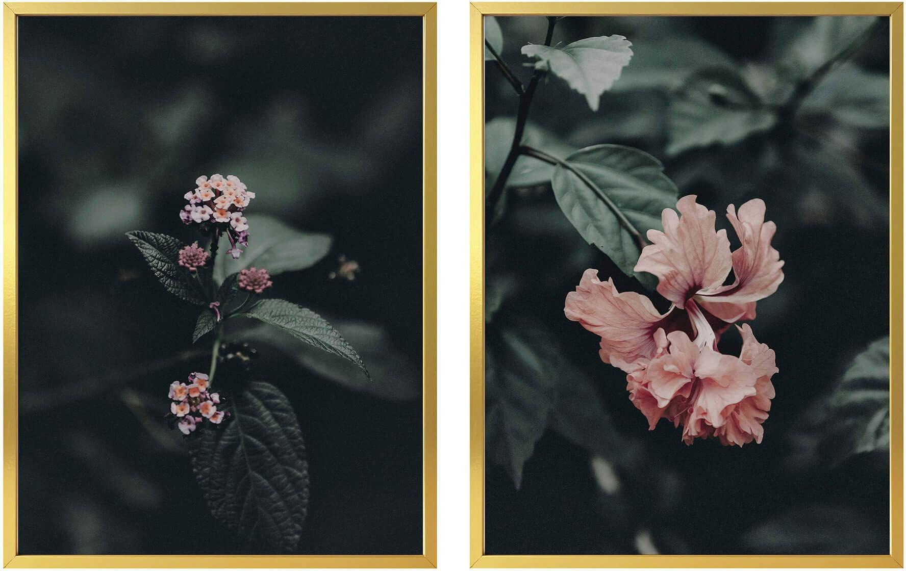 Image of Wall-Art Poster »Rosa Blüten«, (Set), mit Rahmen, Poster, Wandbild, Bild, Wandposter bei Ackermann Versand Schweiz