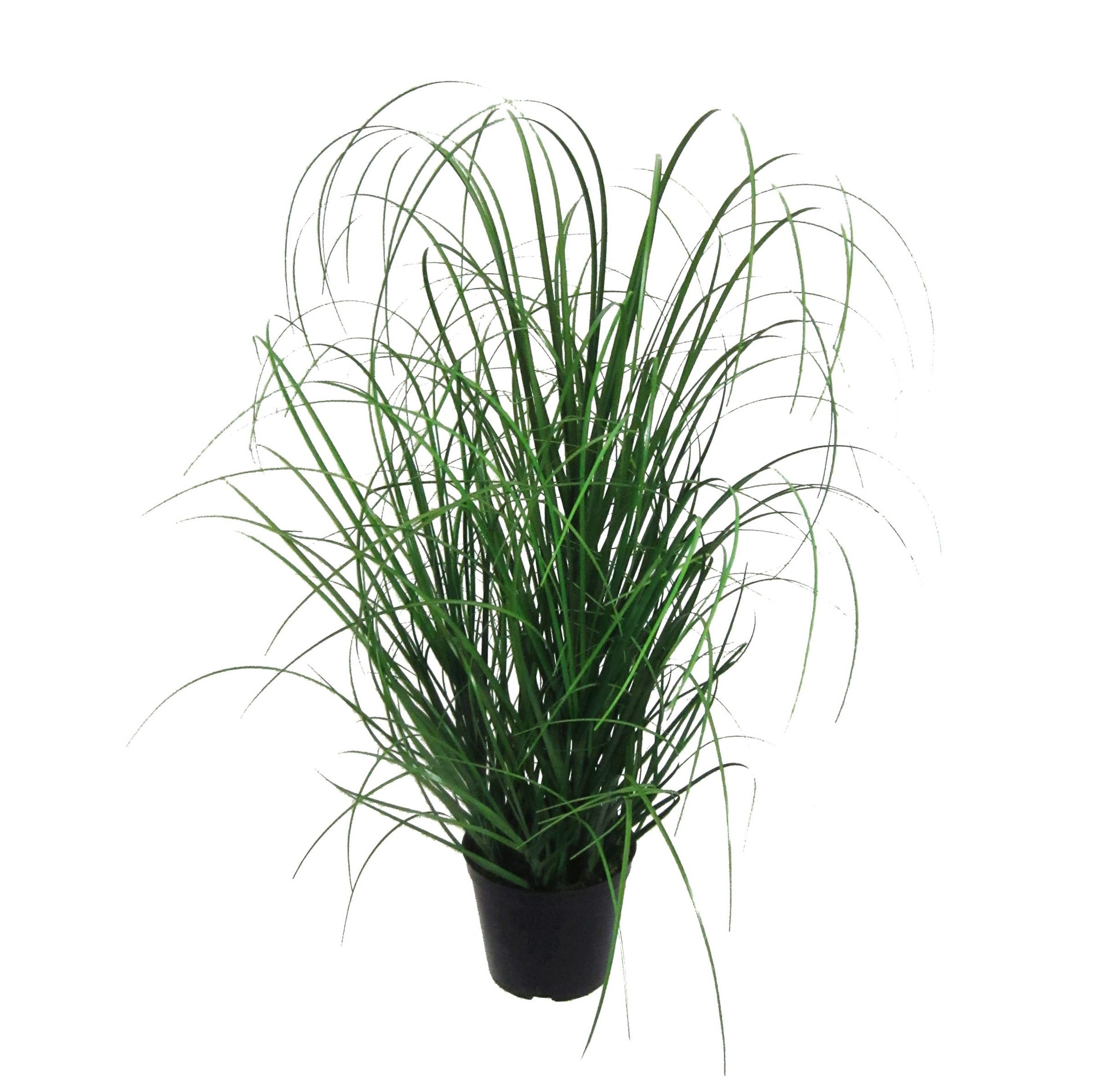 Image of Creativ green Kunstgras »Gras«, (1 St.) bei Ackermann Versand Schweiz