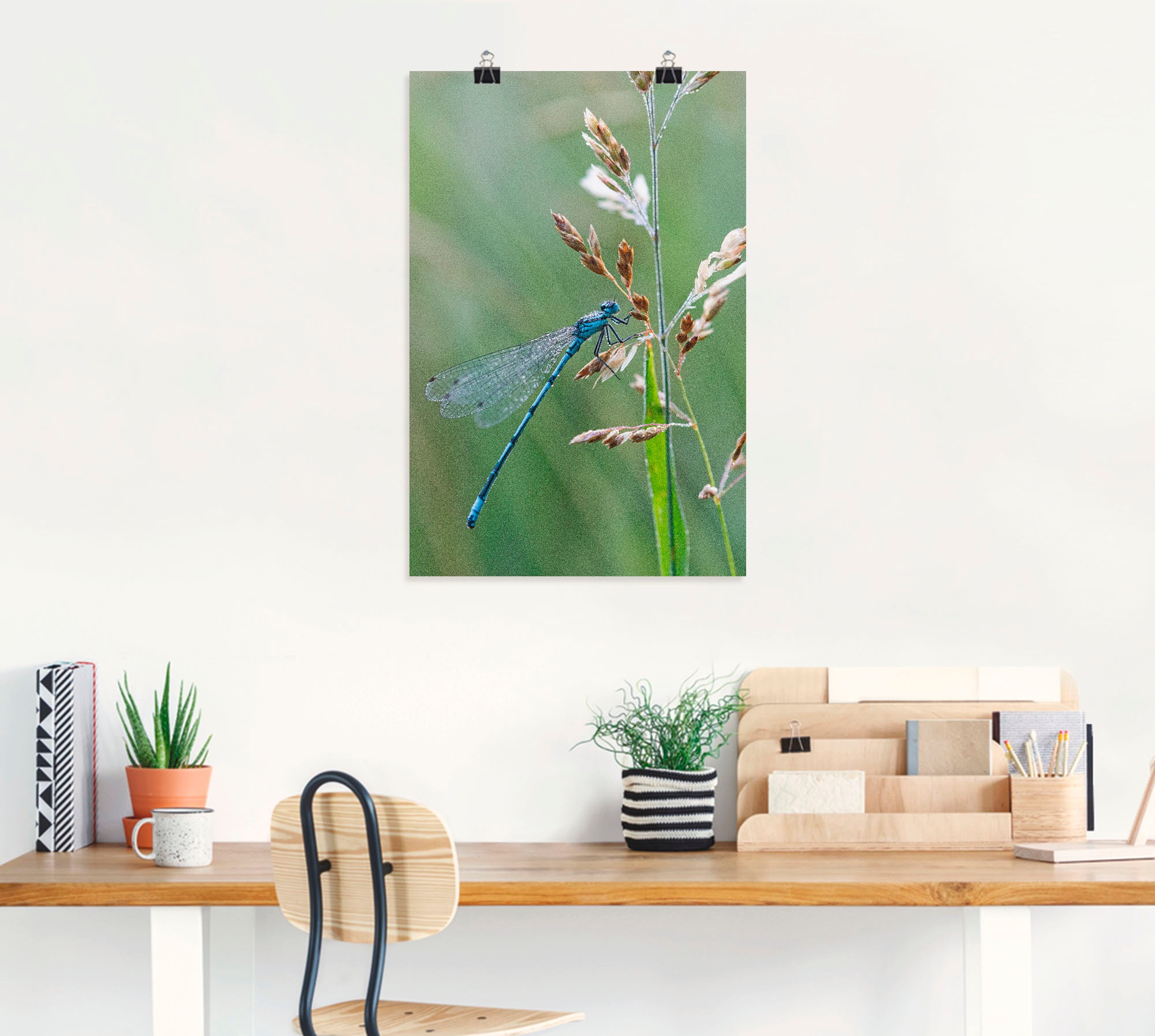 Artland Poster »Kleine Libelle«, Insekten, (1 St.), als Alubild, Leinwandbild, Wandaufkleber oder Poster in versch. Grössen
