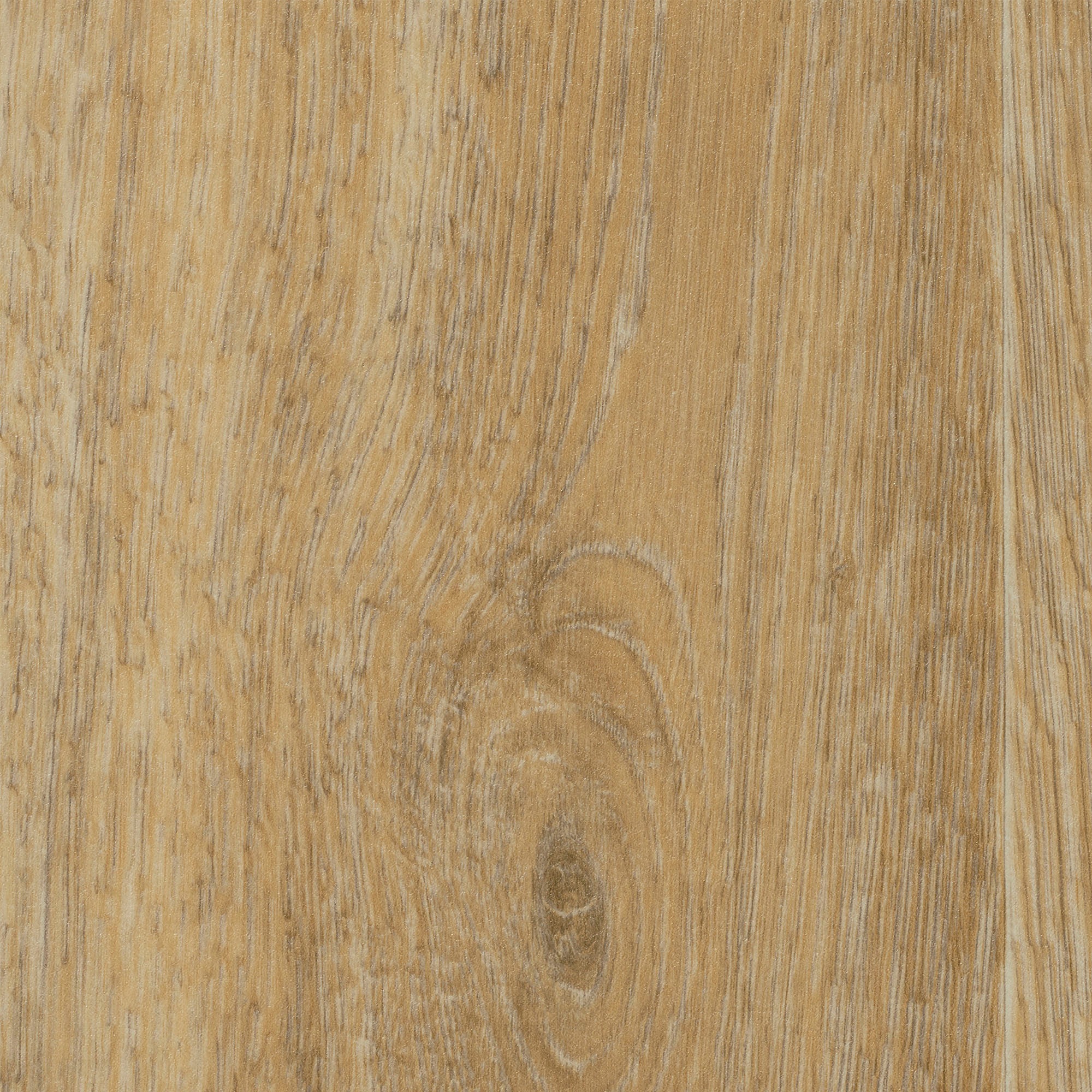 Image of Bodenmeister Vinylboden »PVC Bodenbelag Holzoptik Diele Eiche creme hell gekalkt«, Meterware, Breite 200/300/400 cm bei Ackermann Versand Schweiz