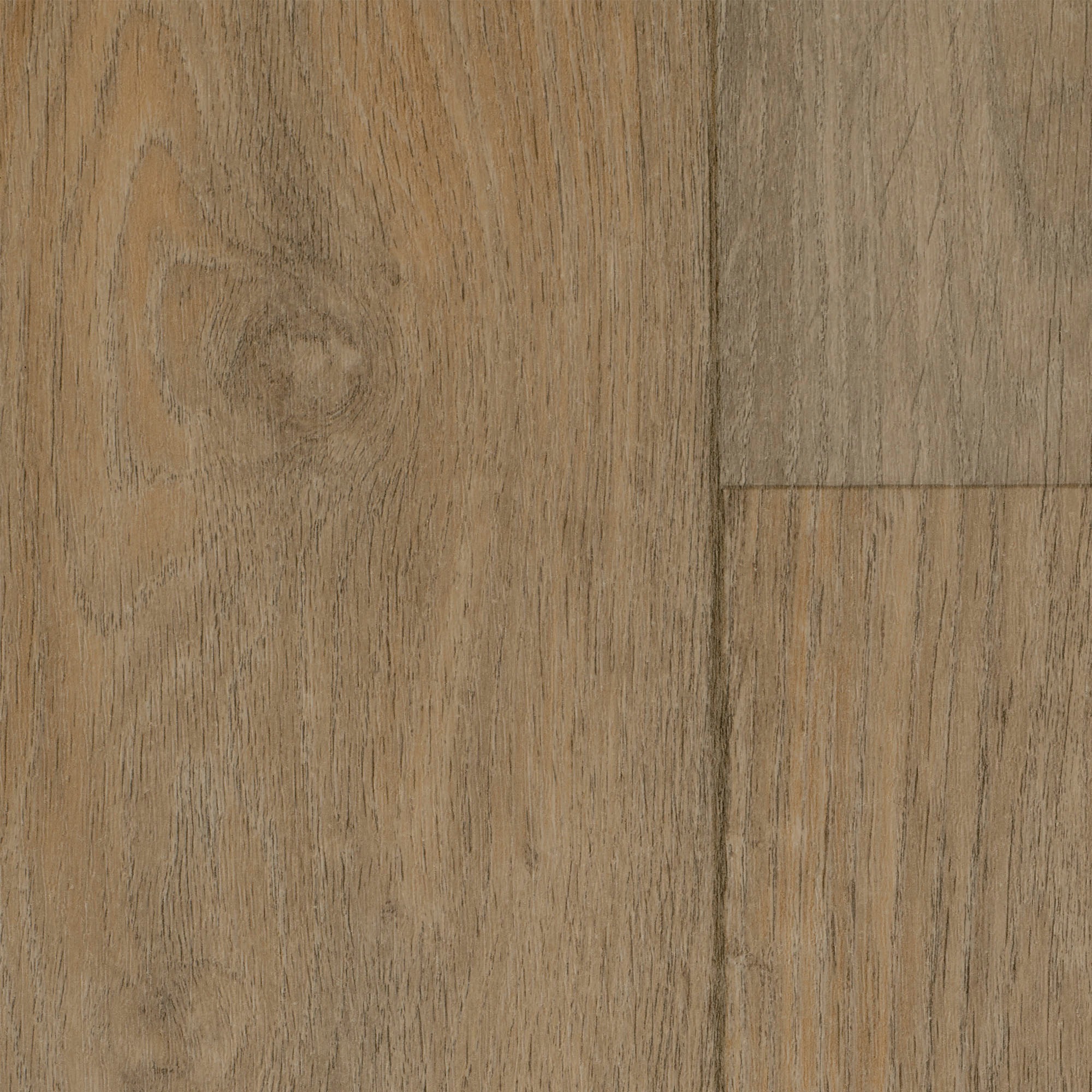 Image of Bodenmeister Vinylboden »PVC Bodenbelag Holzoptik Diele Eiche hell creme«, Meterware, Breite 200/400 cm bei Ackermann Versand Schweiz