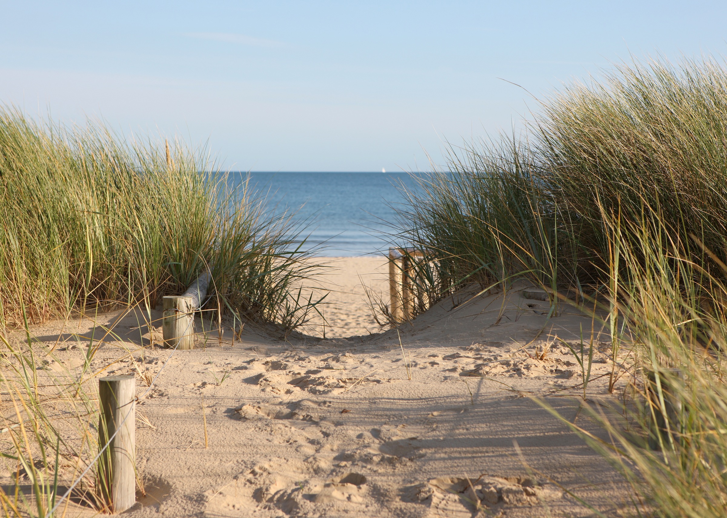 Image of Papermoon Fototapete »Dunes in Dorset« bei Ackermann Versand Schweiz